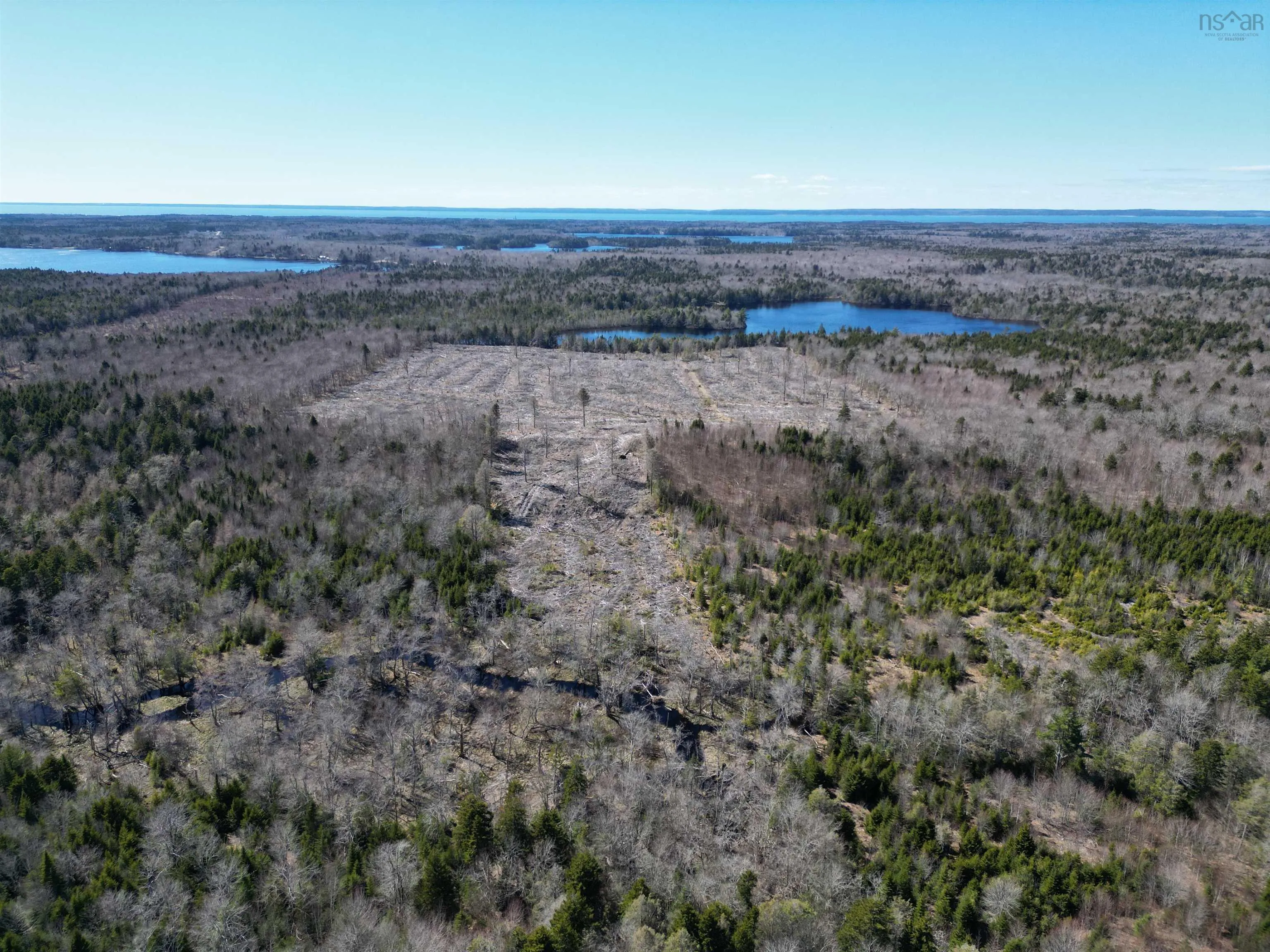 Bull Lake Road, Concession Ns B0w 1m0, ,Land,For Sale,Bull Lake,202500521