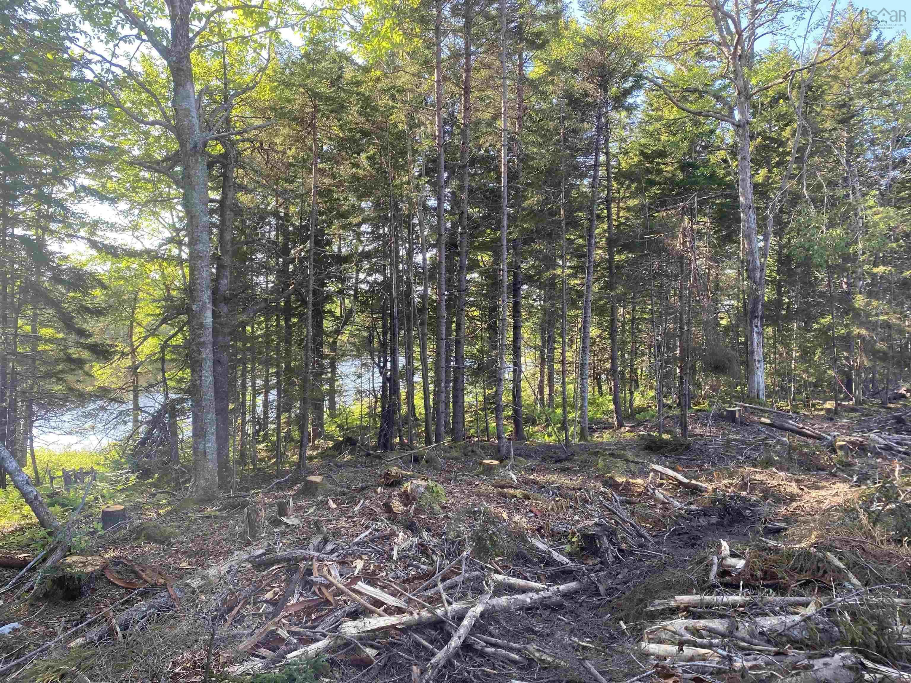 Bull Lake Road, Concession Ns B0w 1m0, ,Land,For Sale,Bull Lake,202500521