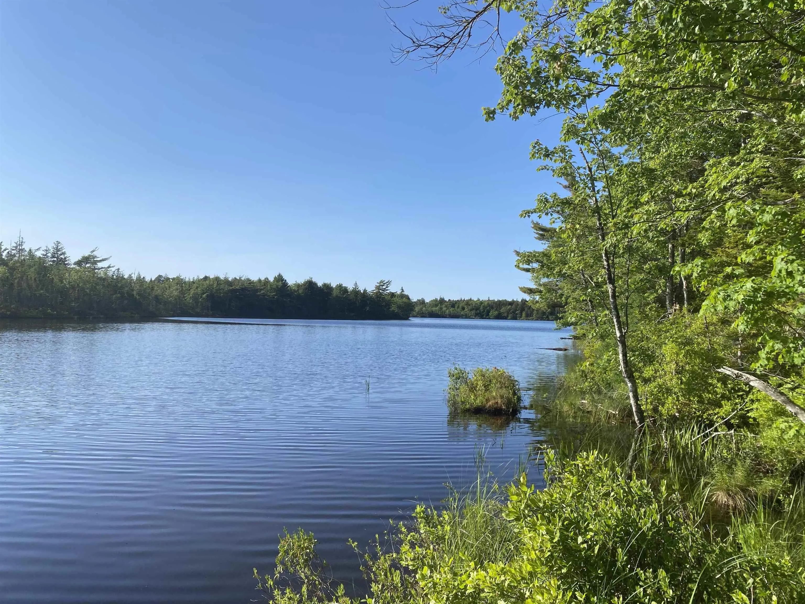 Bull Lake Road, Concession Ns B0w 1m0, ,Land,For Sale,Bull Lake,202500521