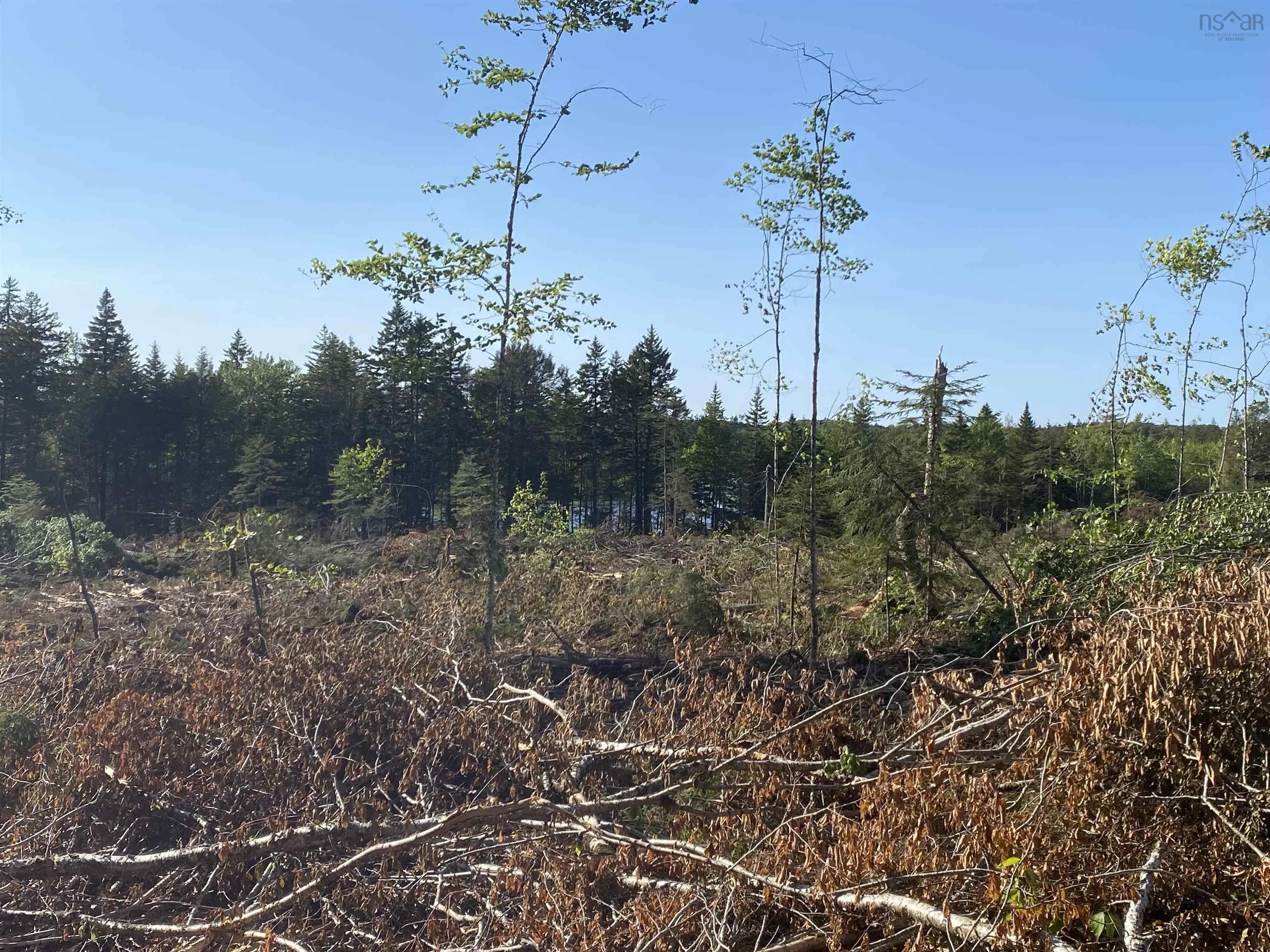 Bull Lake Road, Concession Ns B0w 1m0, ,Land,For Sale,Bull Lake,202500521