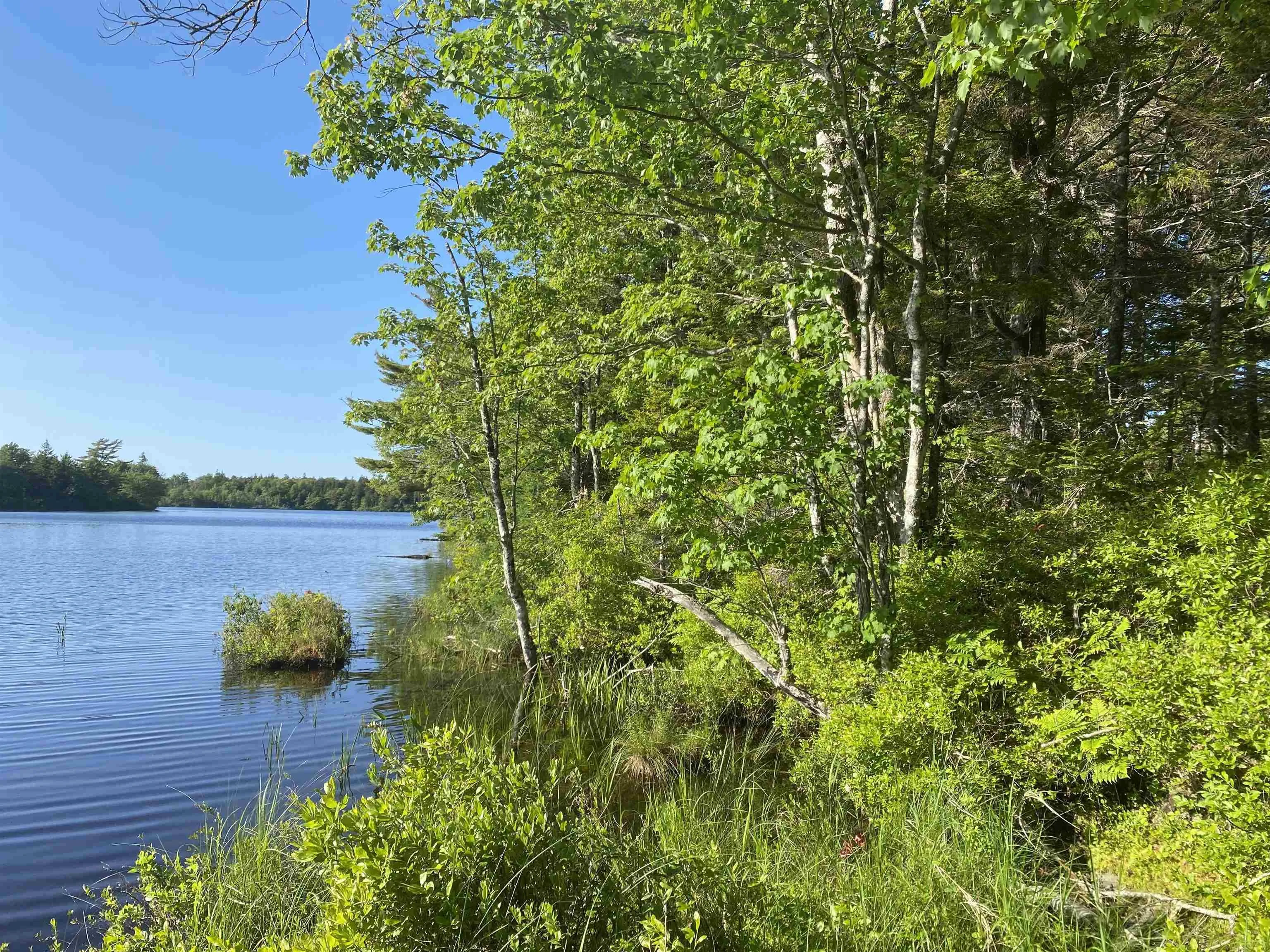 Bull Lake Road, Concession Ns B0w 1m0, ,Land,For Sale,Bull Lake,202500521