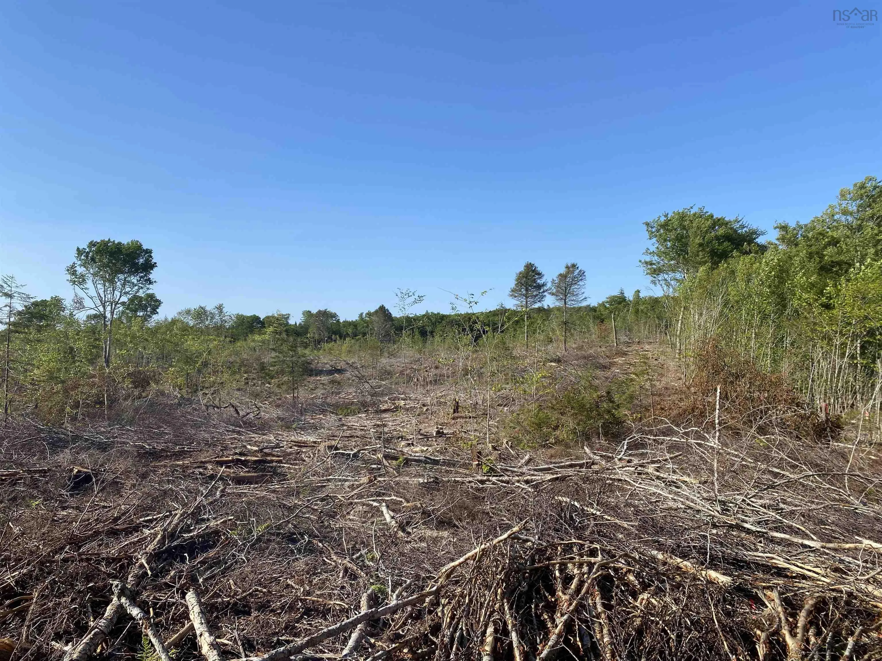 Bull Lake Road, Concession Ns B0w 1m0, ,Land,For Sale,Bull Lake,202500521