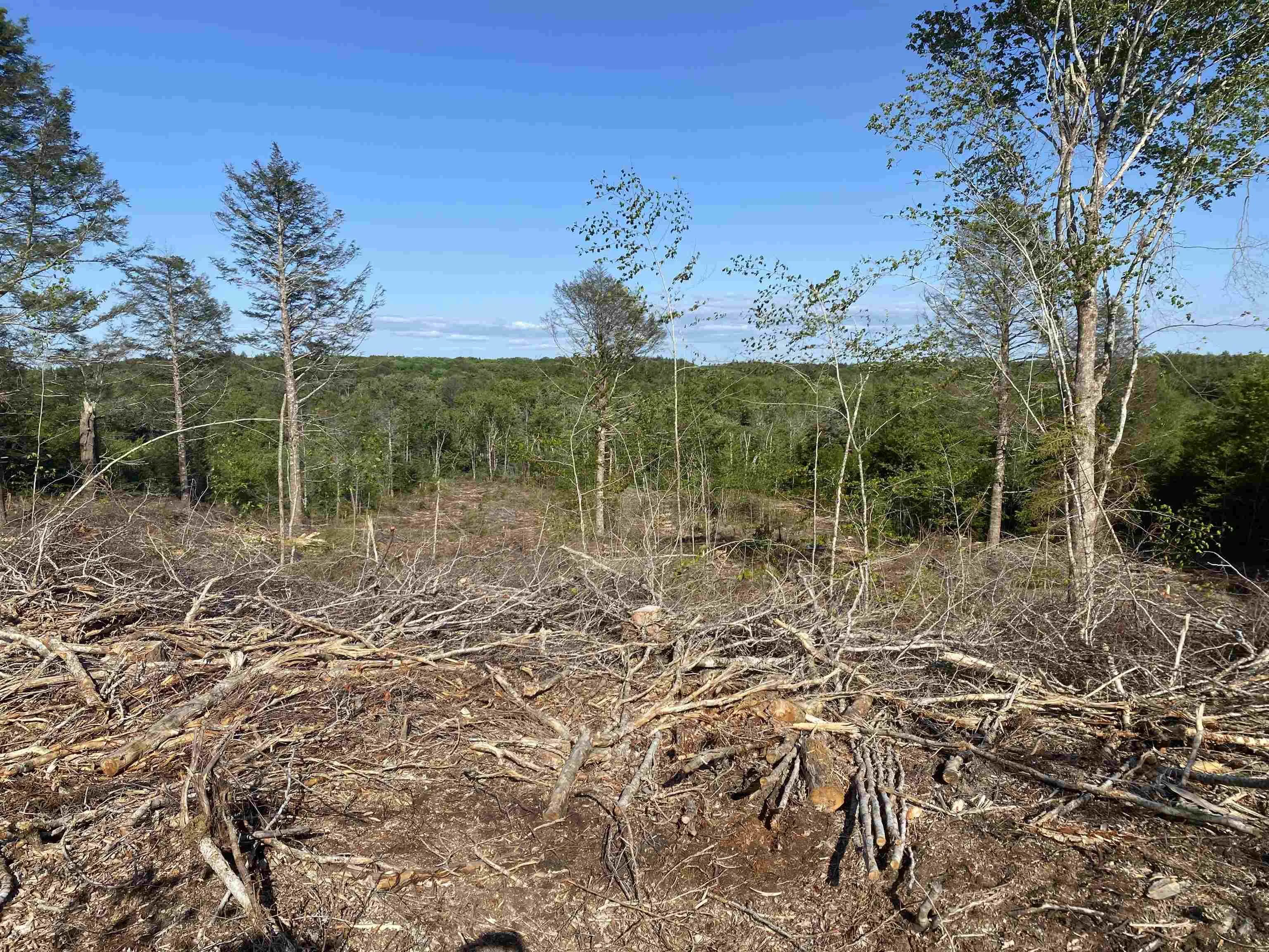 Bull Lake Road, Concession Ns B0w 1m0, ,Land,For Sale,Bull Lake,202500521