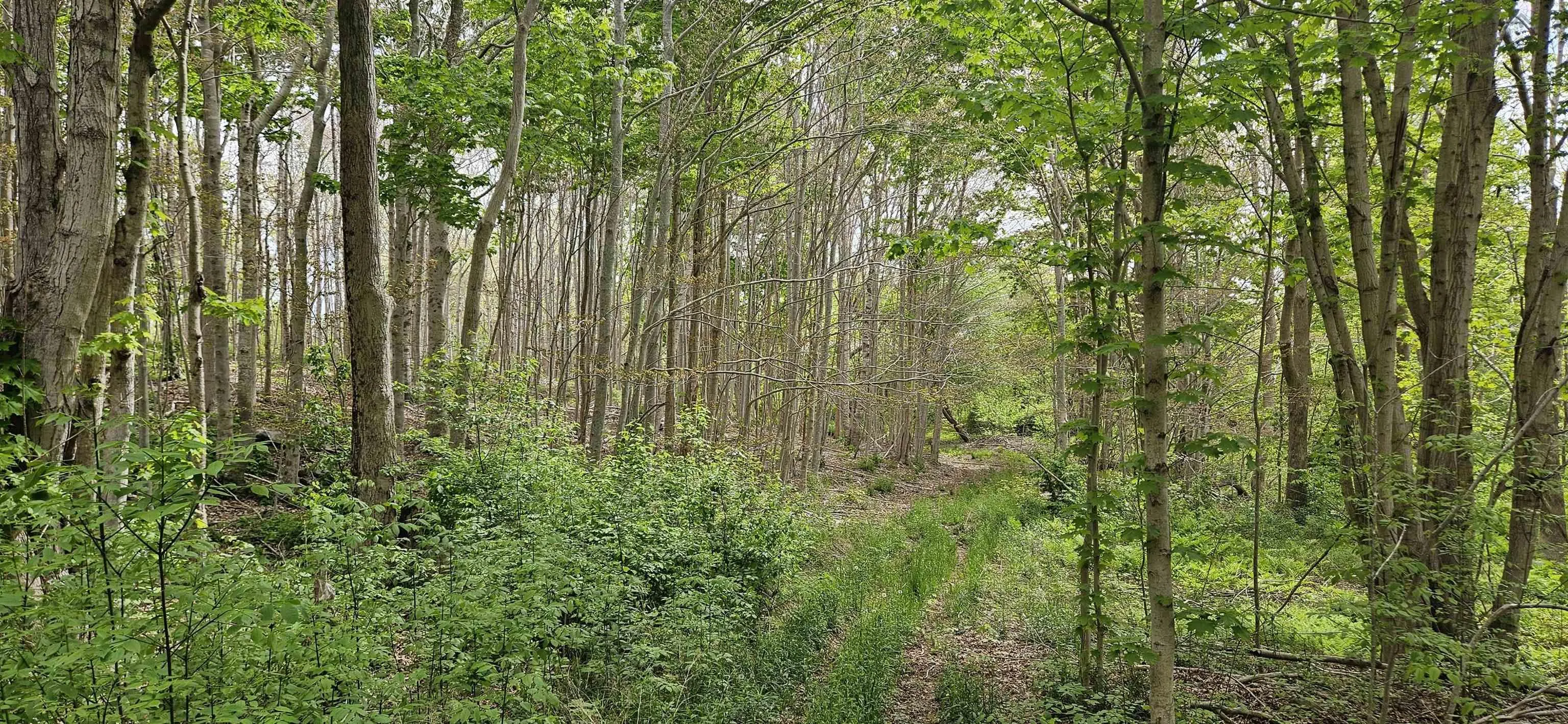 Riverside Road, New Edinburgh Ns B0w 3t0, ,Land,For Sale,Riverside,202412788