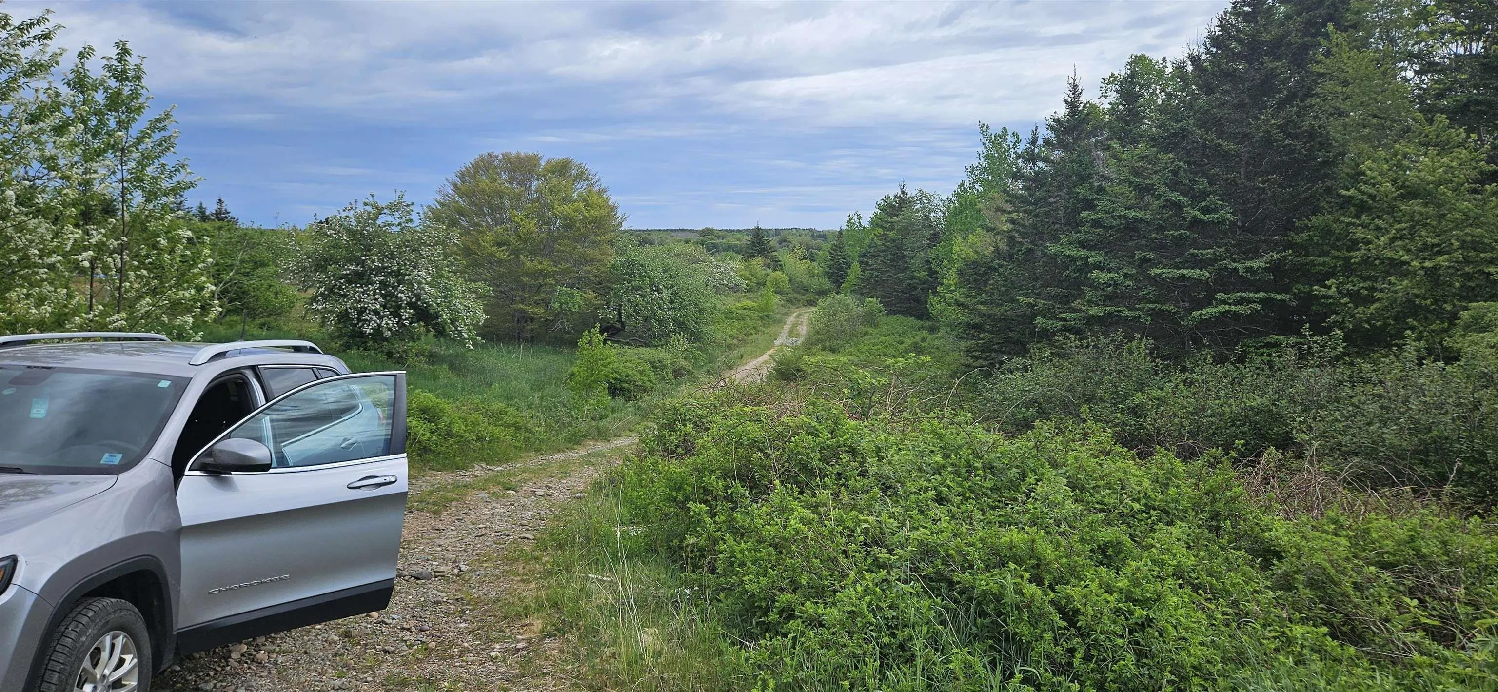 Riverside Road, New Edinburgh Ns B0w 3t0, ,Land,For Sale,Riverside,202412788
