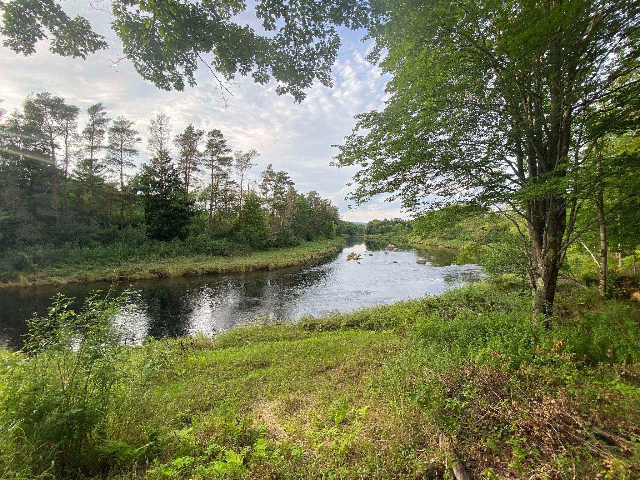 Lot 1 201 Highway, Paradise, NS B0S 1M0, ,Land,For Sale,201,202519497