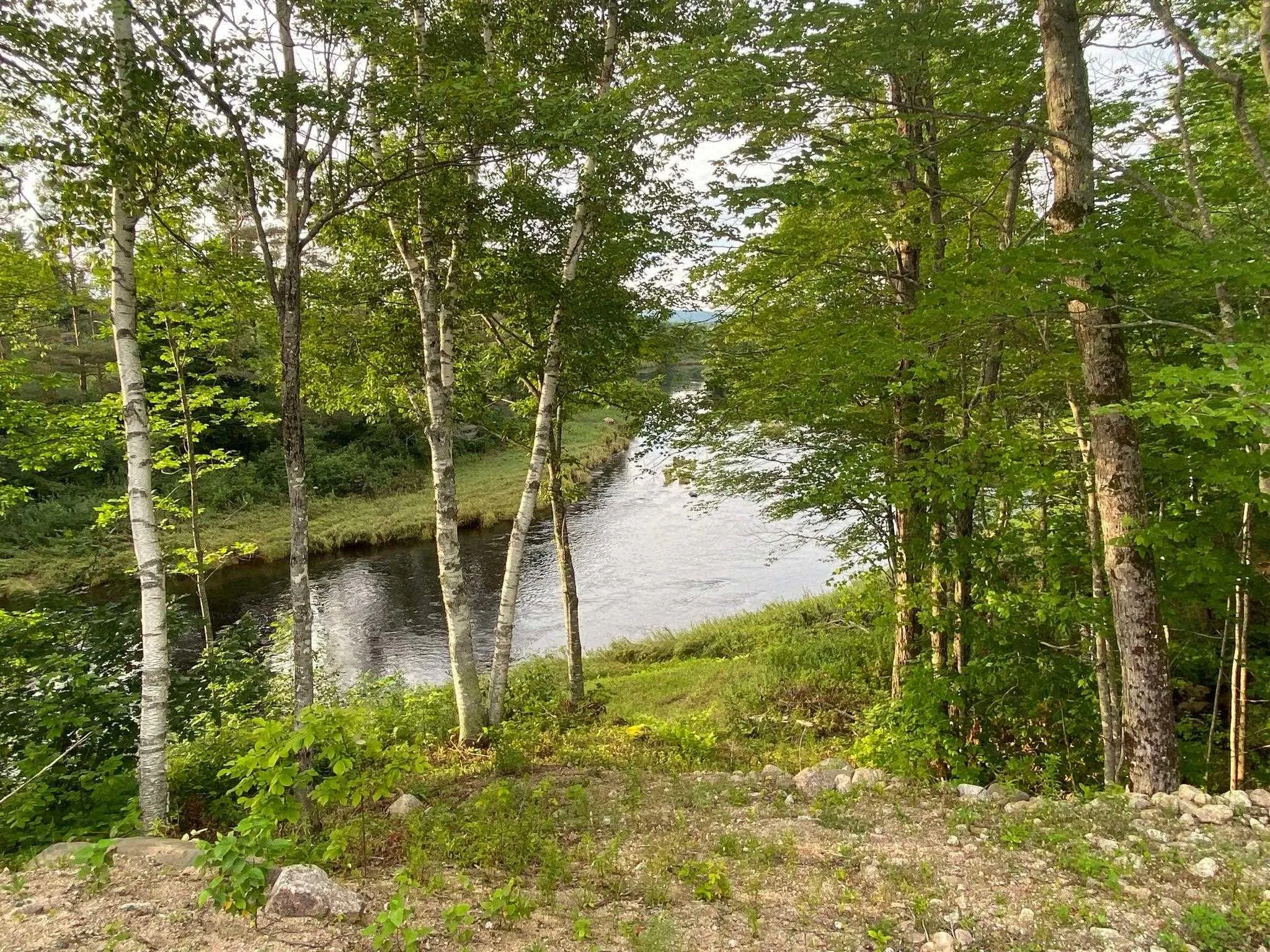 Lot 1 201 Highway, Paradise, NS B0S 1M0, ,Land,For Sale,201,202519497