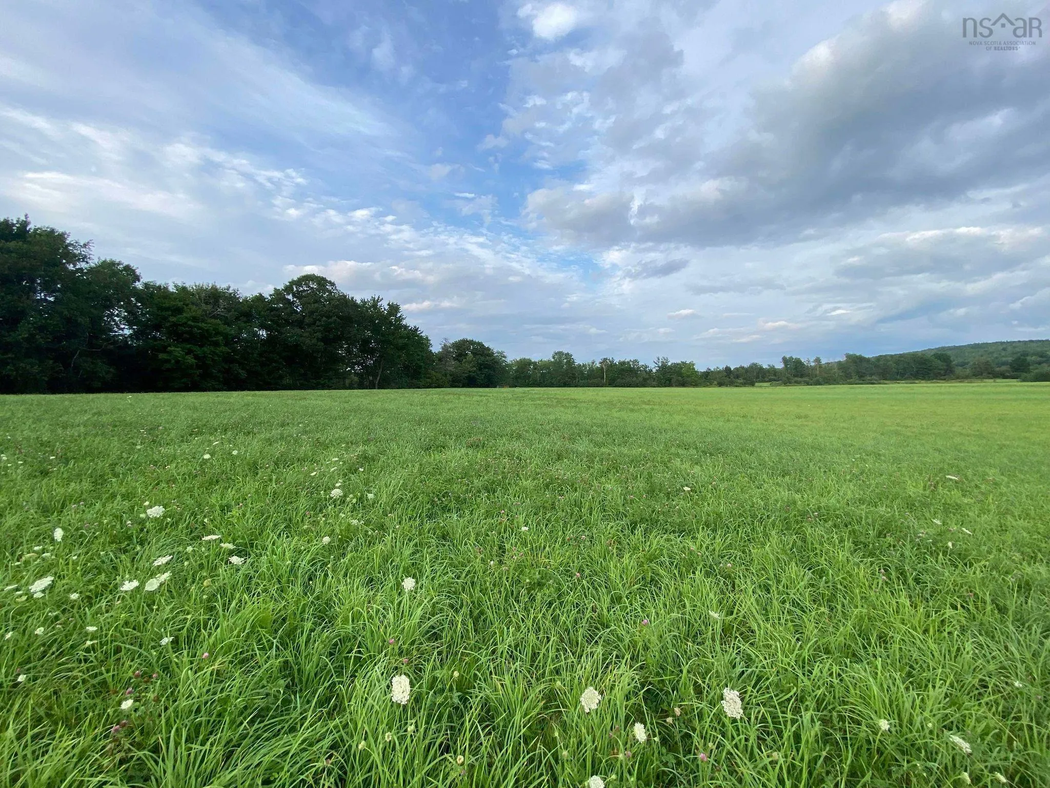 Lot 1 201 Highway, Paradise, NS B0S 1M0, ,Land,For Sale,201,202519497