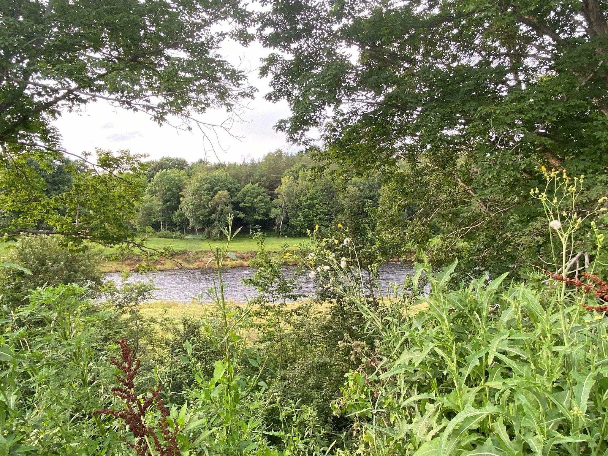 Lot 1 201 Highway, Paradise, NS B0S 1M0, ,Land,For Sale,201,202519497
