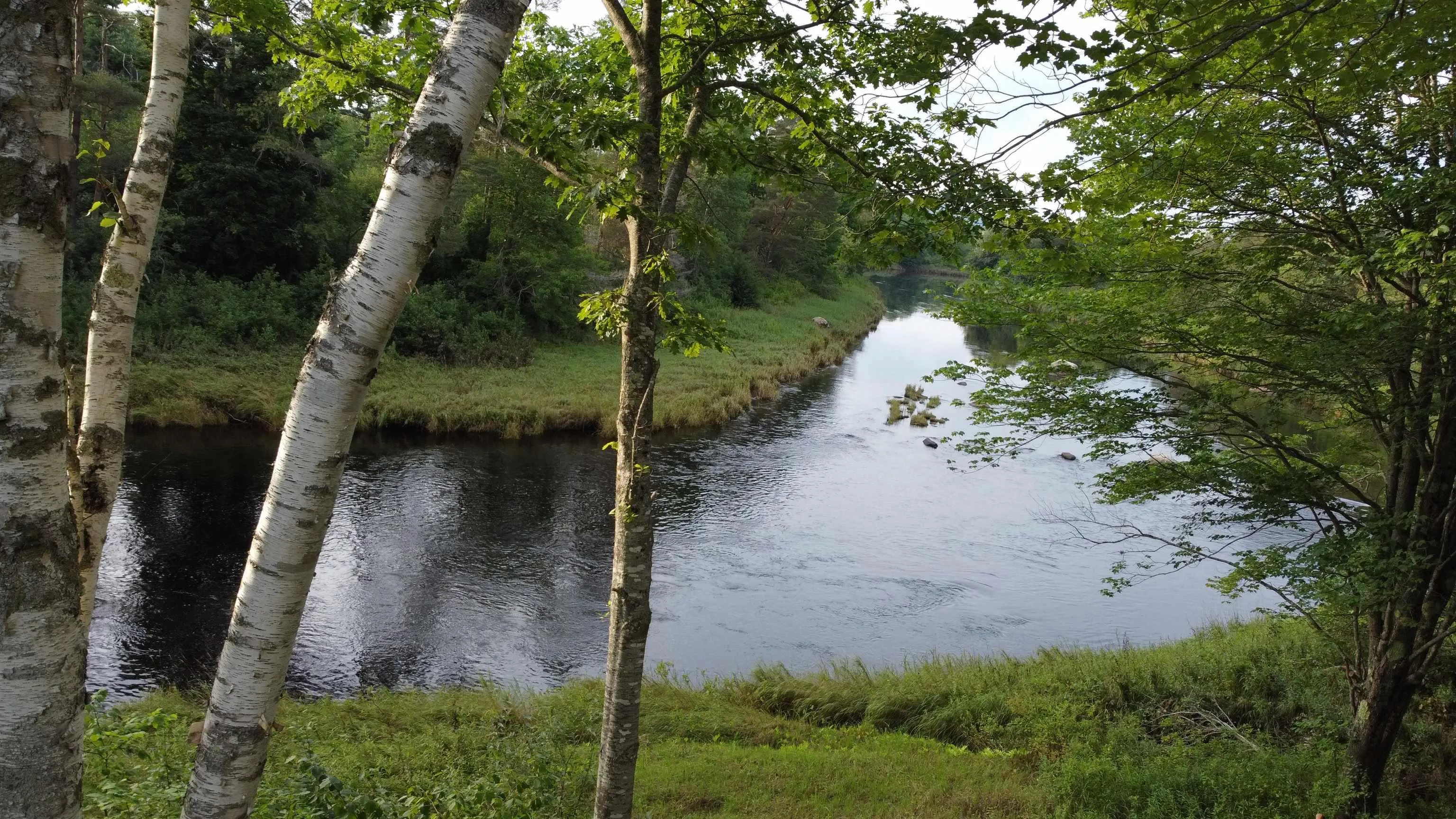Lot 1 201 Highway, Paradise, NS B0S 1M0, ,Land,For Sale,201,202519497