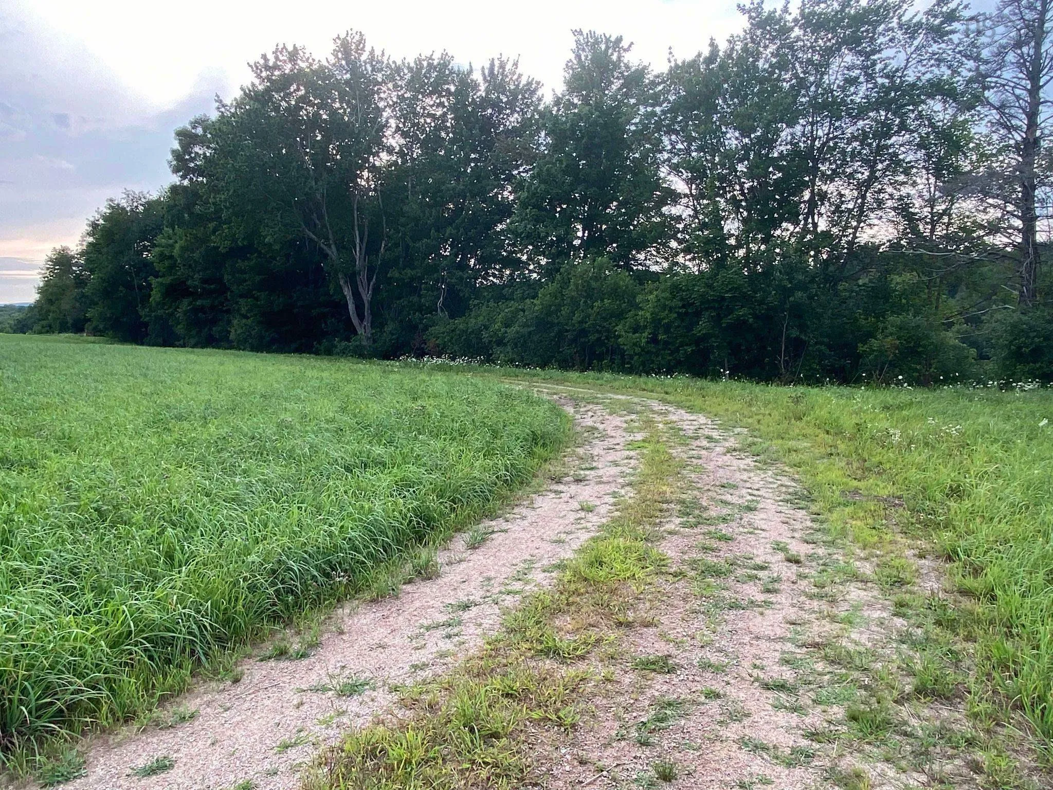 Lot 1 201 Highway, Paradise, NS B0S 1M0, ,Land,For Sale,201,202519497