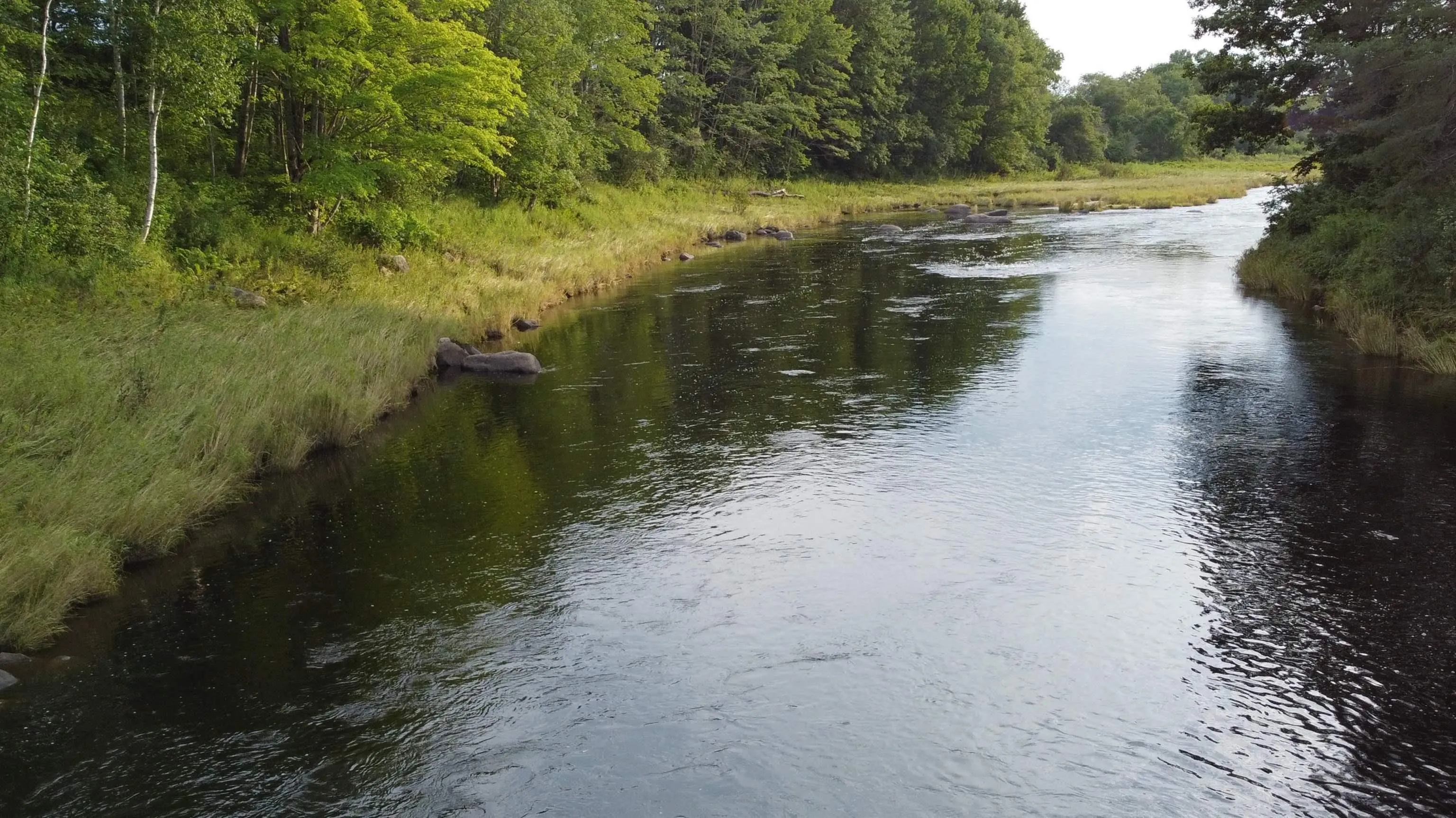 Lot 1 201 Highway, Paradise, NS B0S 1M0, ,Land,For Sale,201,202519497