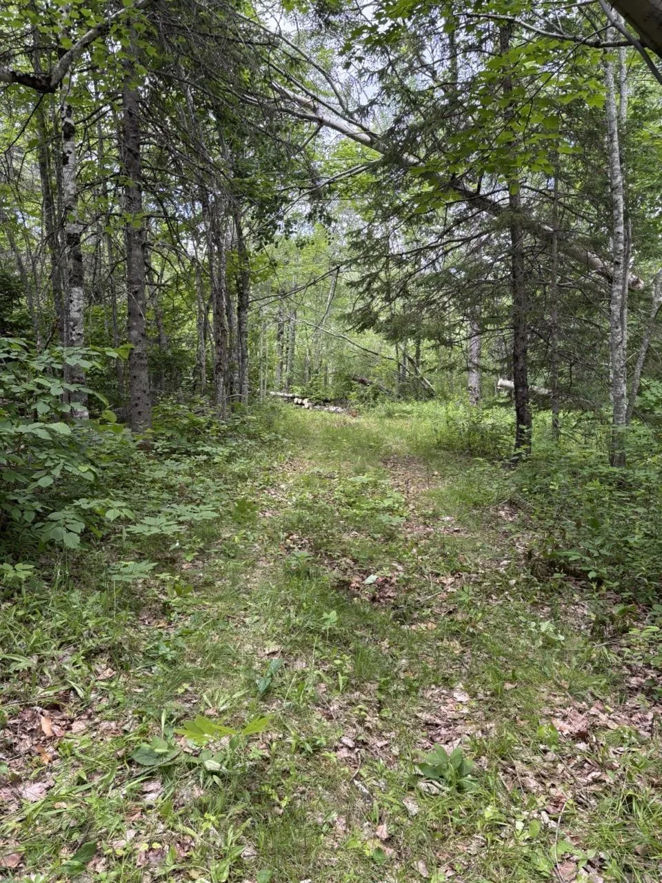 Lake Road, Millbrook, NS B0K 1V0, ,Land,For Sale,Lake,202514604