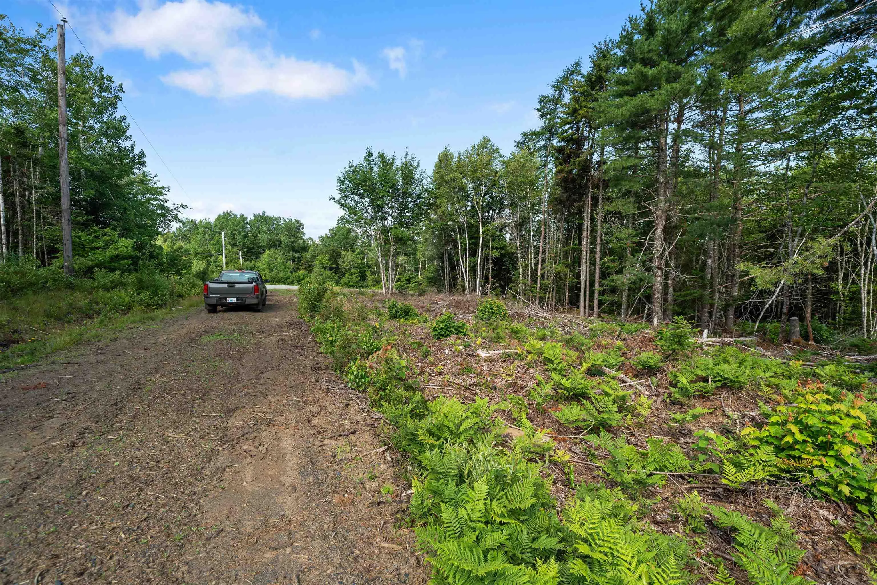 8860 Moose River Road, Lindsay Lake, NS B0N 1X0, 2 Bedrooms Bedrooms, ,1 BathroomBathrooms,Residential,For Sale,Moose River,202521501