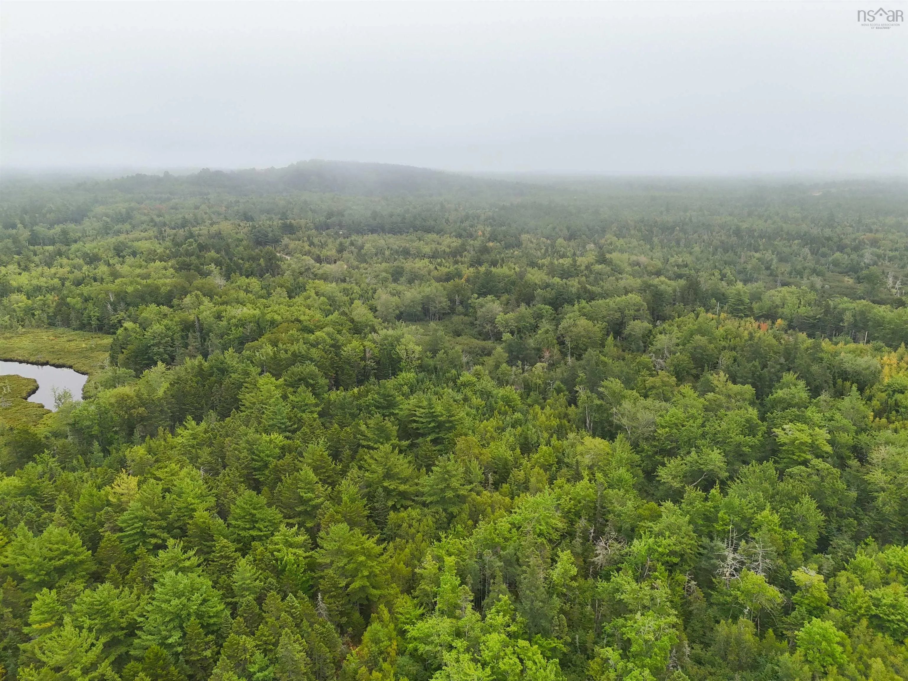 608 Waterloo Lake Road, Waterloo, NS B4V 2W5, ,Land,For Sale,Waterloo Lake,202521113