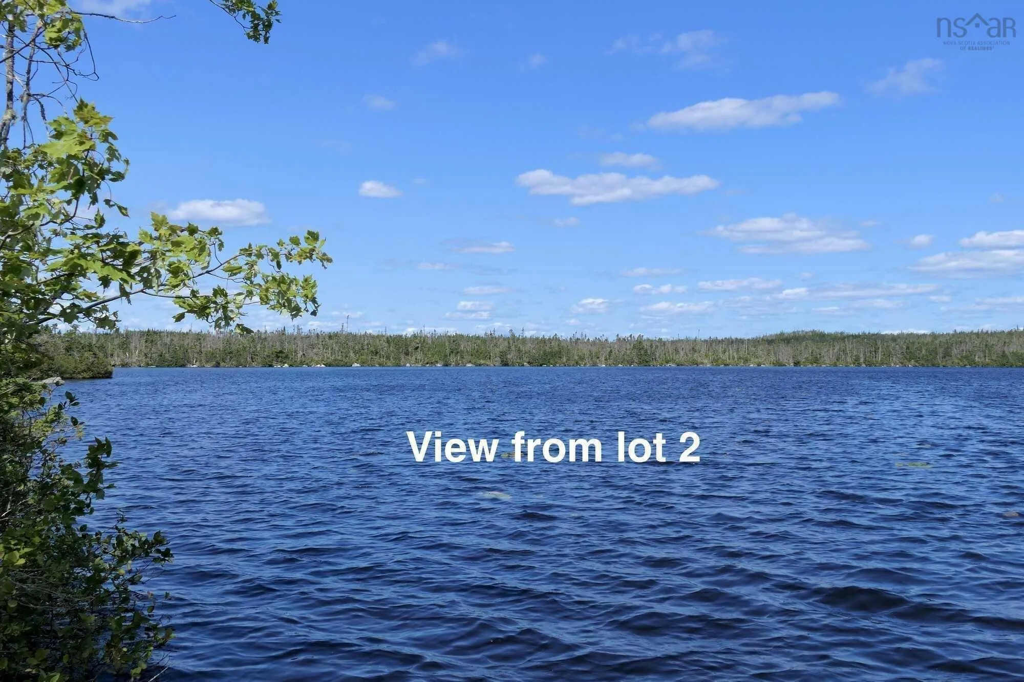Lot 2 South Shore Road, Mitchell Bay Ns B0j 2k0, ,Land,For Sale,South Shore,202402699