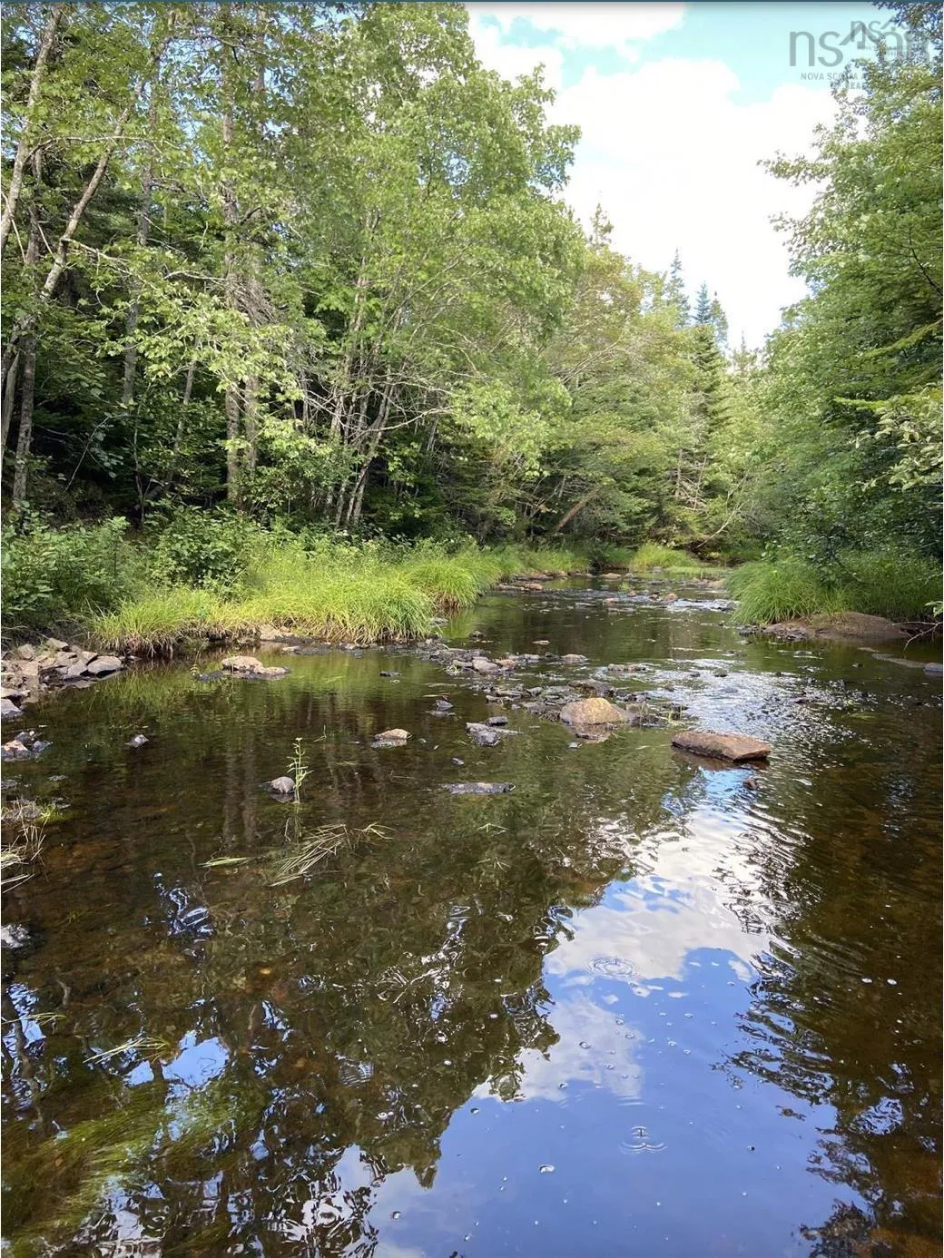 Lot No. 4 Highway, River Bourgeois, NS B0E 2X0, ,Land,For Sale,No. 4 Highway,202523061