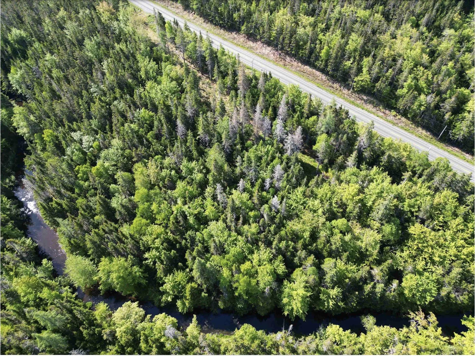 Lot No. 4 Highway, River Bourgeois, NS B0E 2X0, ,Land,For Sale,No. 4 Highway,202523061
