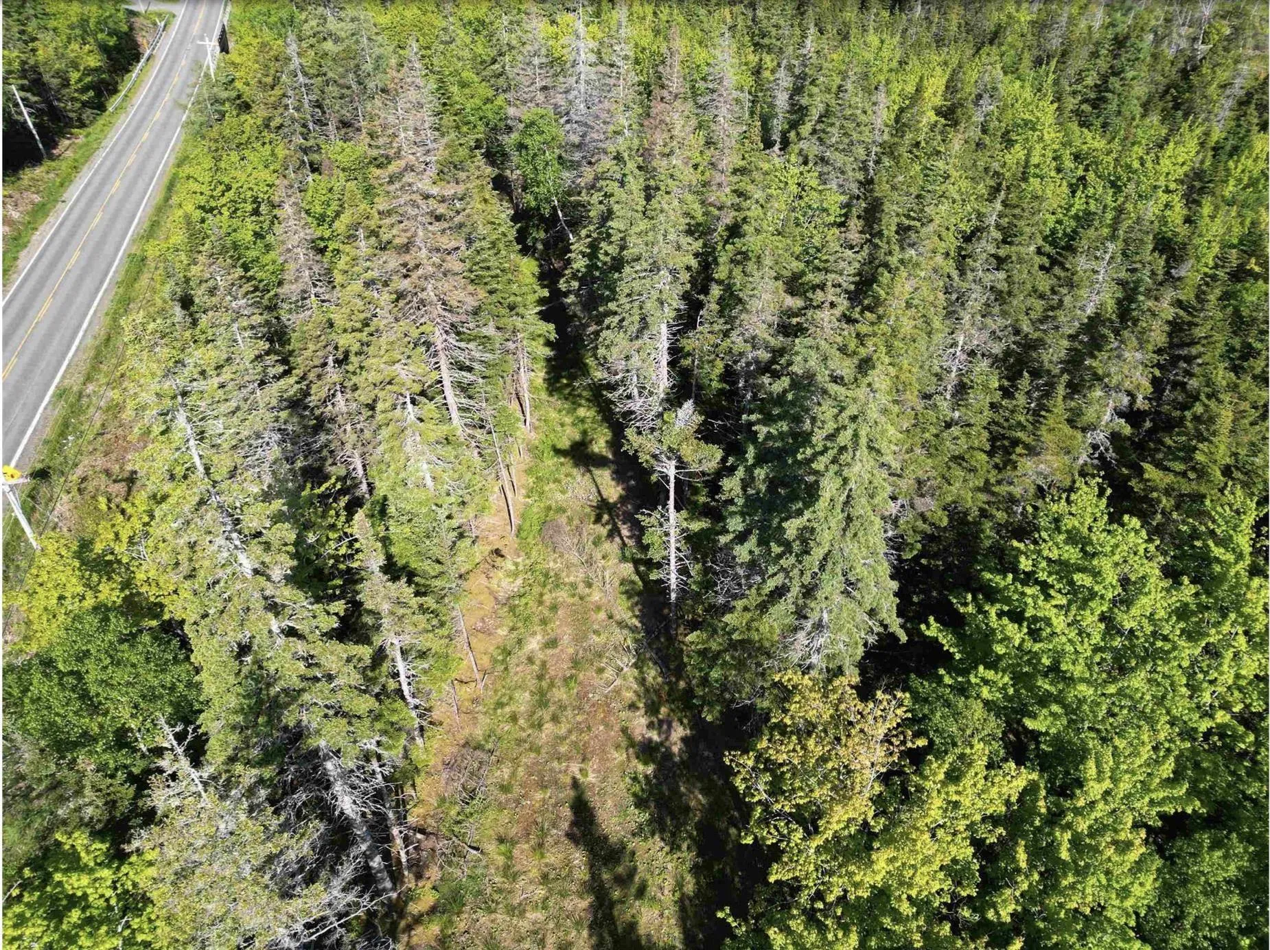 Lot No. 4 Highway, River Bourgeois, NS B0E 2X0, ,Land,For Sale,No. 4 Highway,202523061