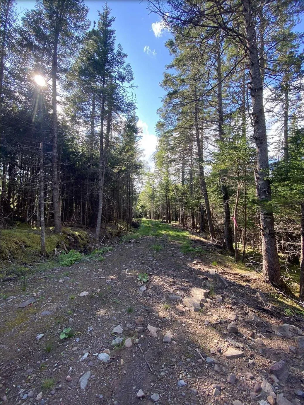 Lot No. 4 Highway, River Bourgeois, NS B0E 2X0, ,Land,For Sale,No. 4 Highway,202523061