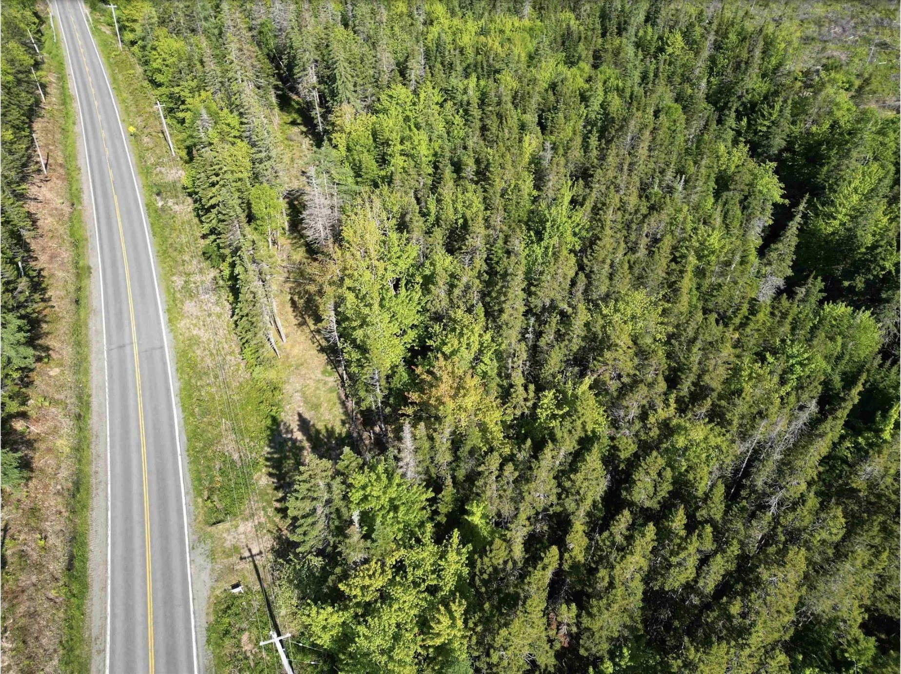 Lot No. 4 Highway, River Bourgeois, NS B0E 2X0, ,Land,For Sale,No. 4 Highway,202523061