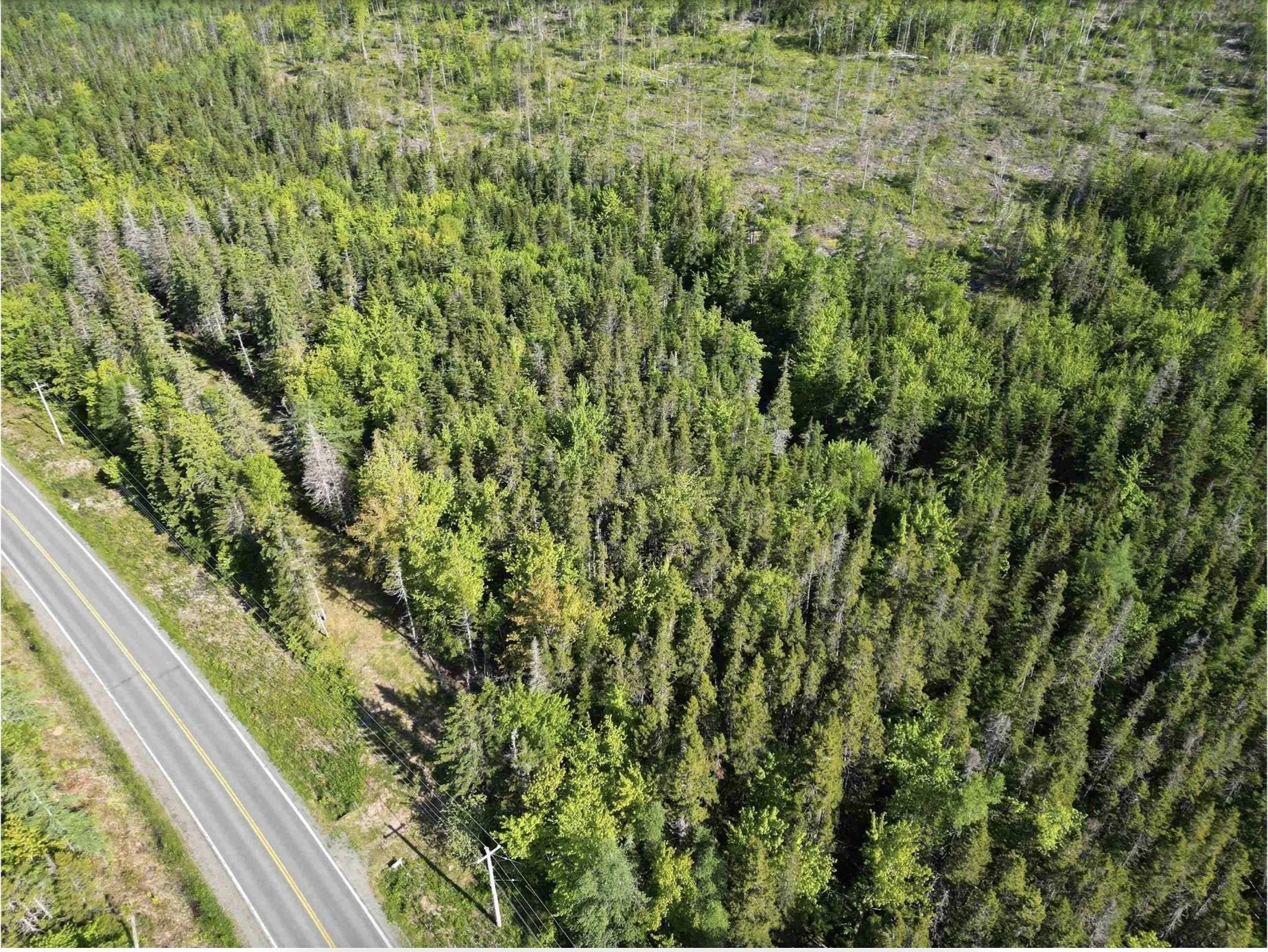 Lot No. 4 Highway, River Bourgeois, NS B0E 2X0, ,Land,For Sale,No. 4 Highway,202523061