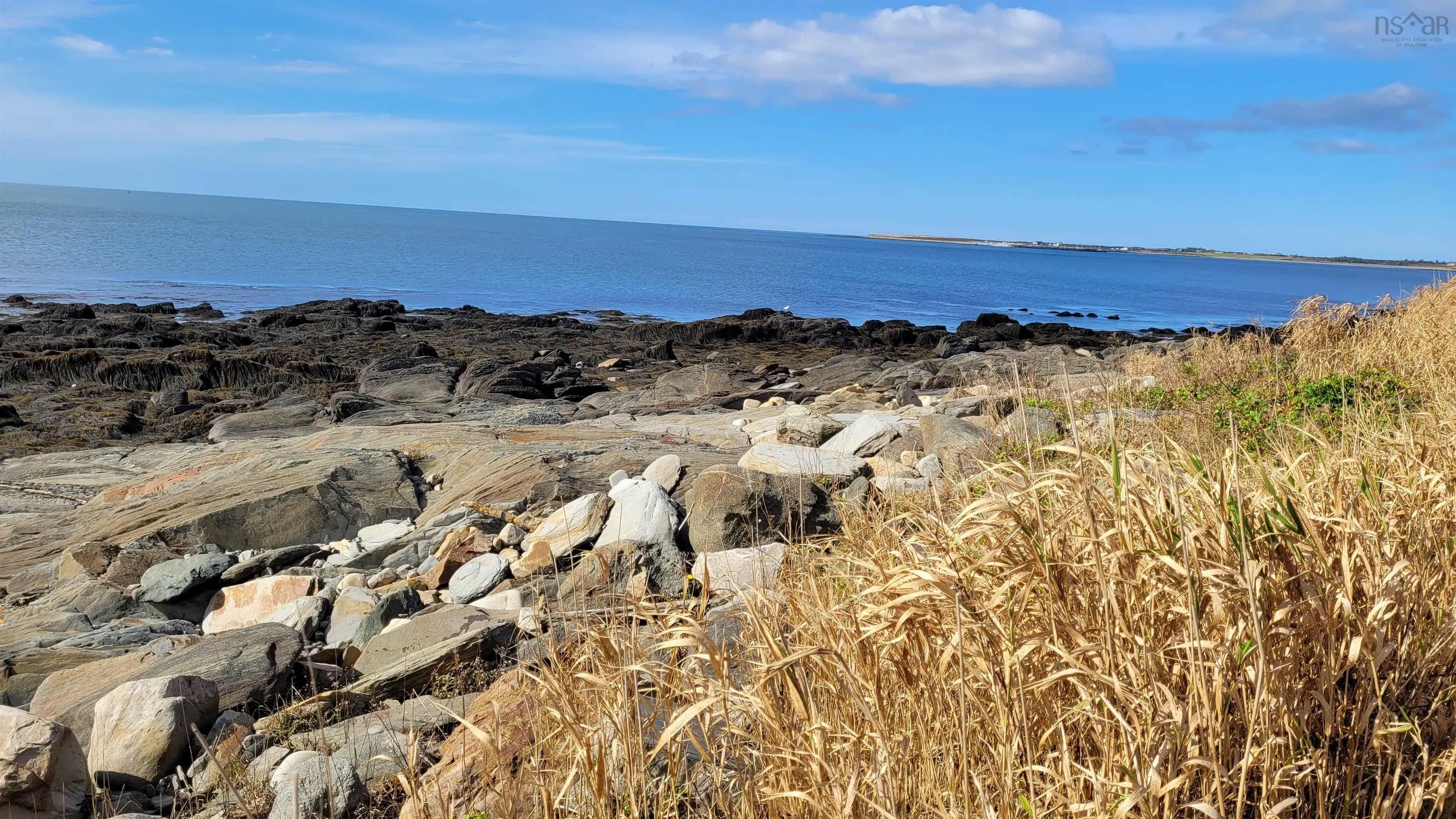 Highway 304, Overton Ns B5a 5g6, ,Land,For Sale,Highway 304,202424319
