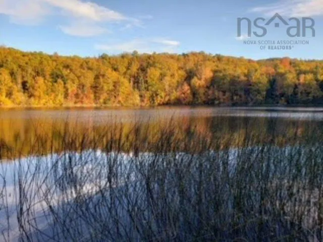 Belle Marche Highway, Belle Marche, NS B0E 1H0, ,Land,For Sale,Belle Marche,202521568