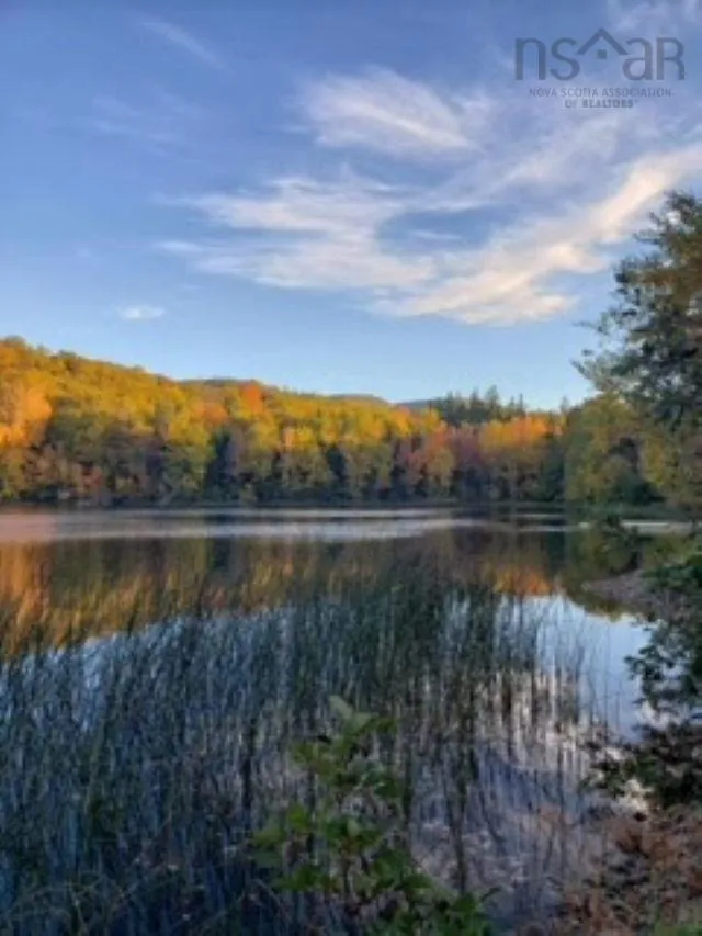 Belle Marche Highway, Belle Marche, NS B0E 1H0, ,Land,For Sale,Belle Marche,202521568