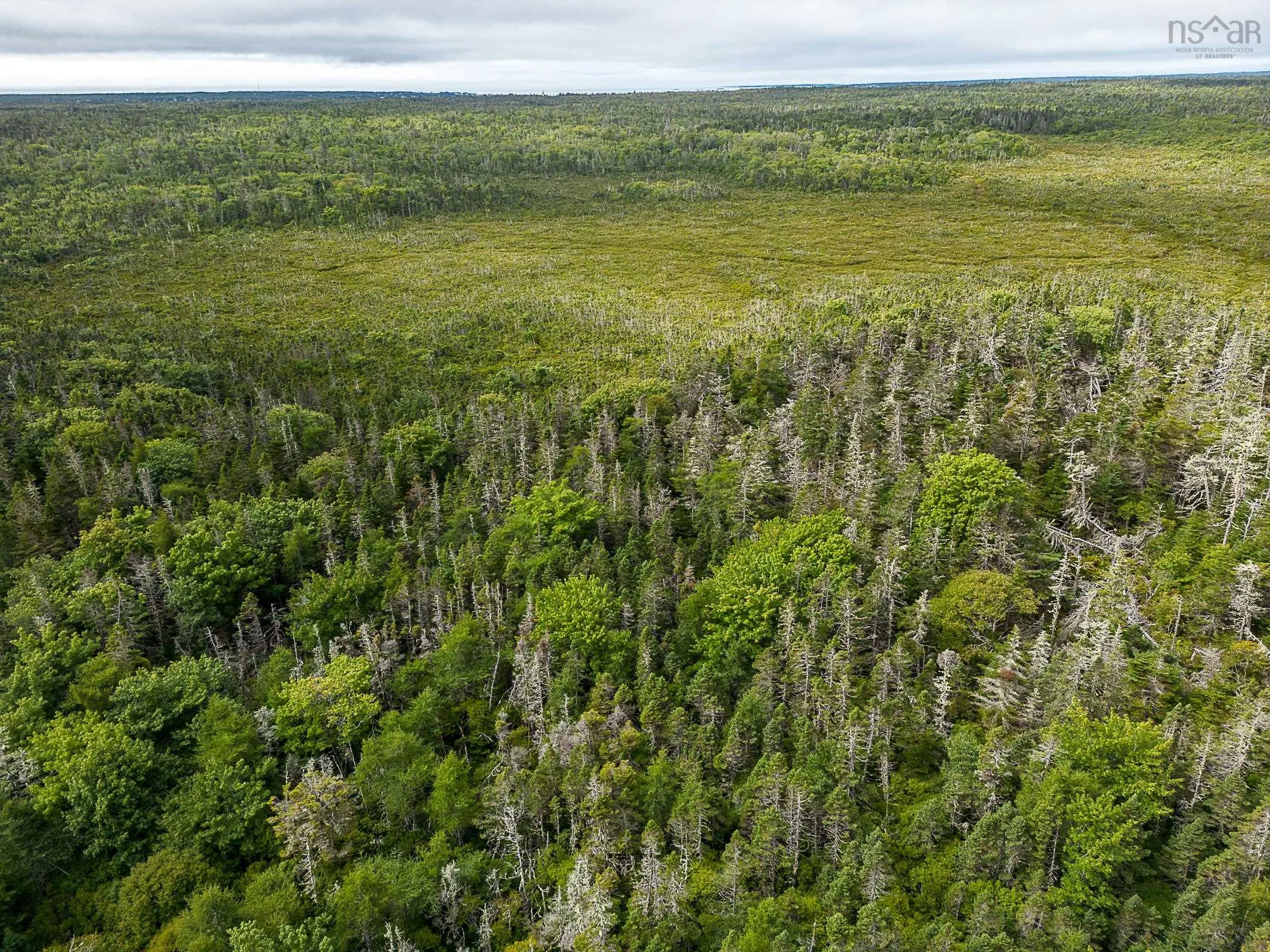 Stoney Island Road, Clam Point Ns B0w 3j0, ,Land,For Sale,Stoney Island,202109114