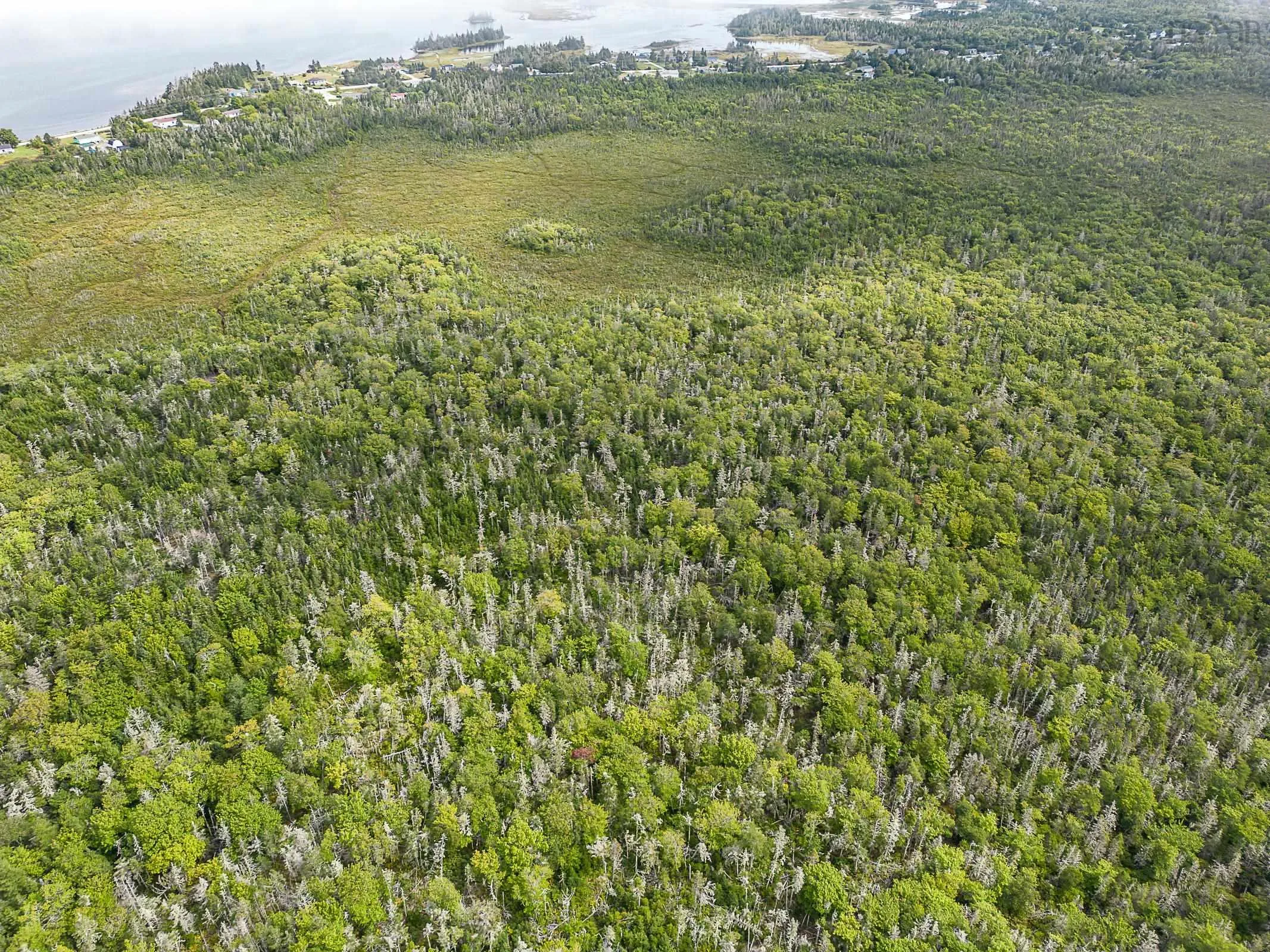Stoney Island Road, Clam Point Ns B0w 3j0, ,Land,For Sale,Stoney Island,202109114