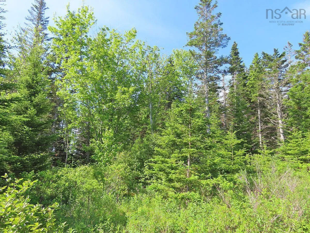 Lot 2 Old Trunk 4 Highway, Soldiers Cove Ns B0e 3b0, ,Land,For Sale,Old Trunk 4,202415357