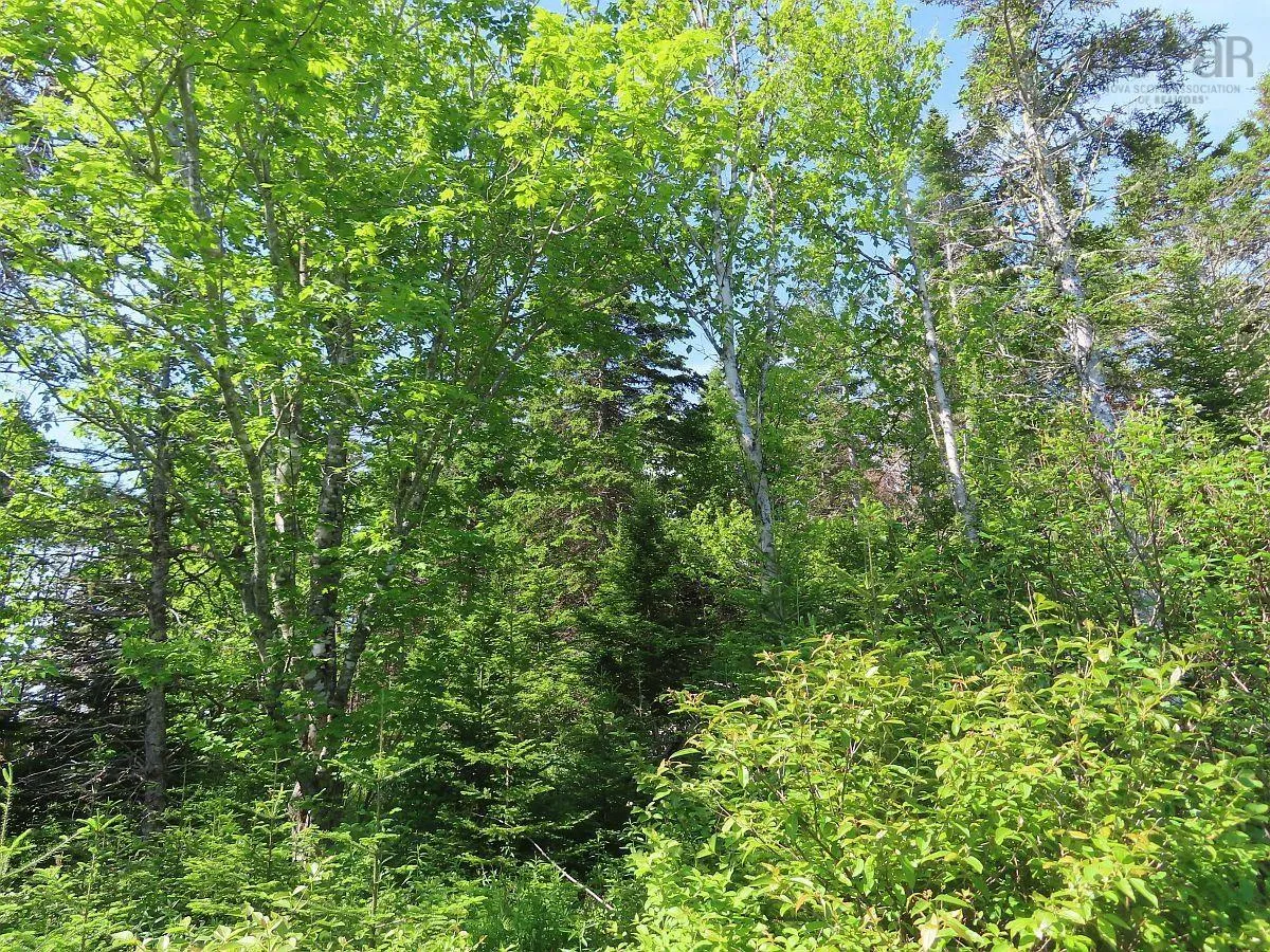 Lot 2 Old Trunk 4 Highway, Soldiers Cove Ns B0e 3b0, ,Land,For Sale,Old Trunk 4,202415357