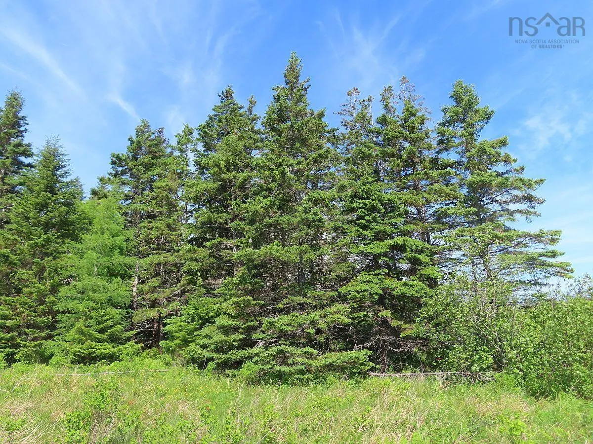 Lot 2 Old Trunk 4 Highway, Soldiers Cove Ns B0e 3b0, ,Land,For Sale,Old Trunk 4,202415357