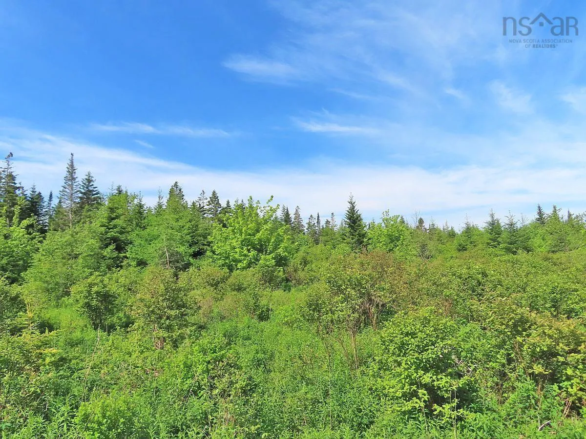Lot 2 Old Trunk 4 Highway, Soldiers Cove Ns B0e 3b0, ,Land,For Sale,Old Trunk 4,202415357