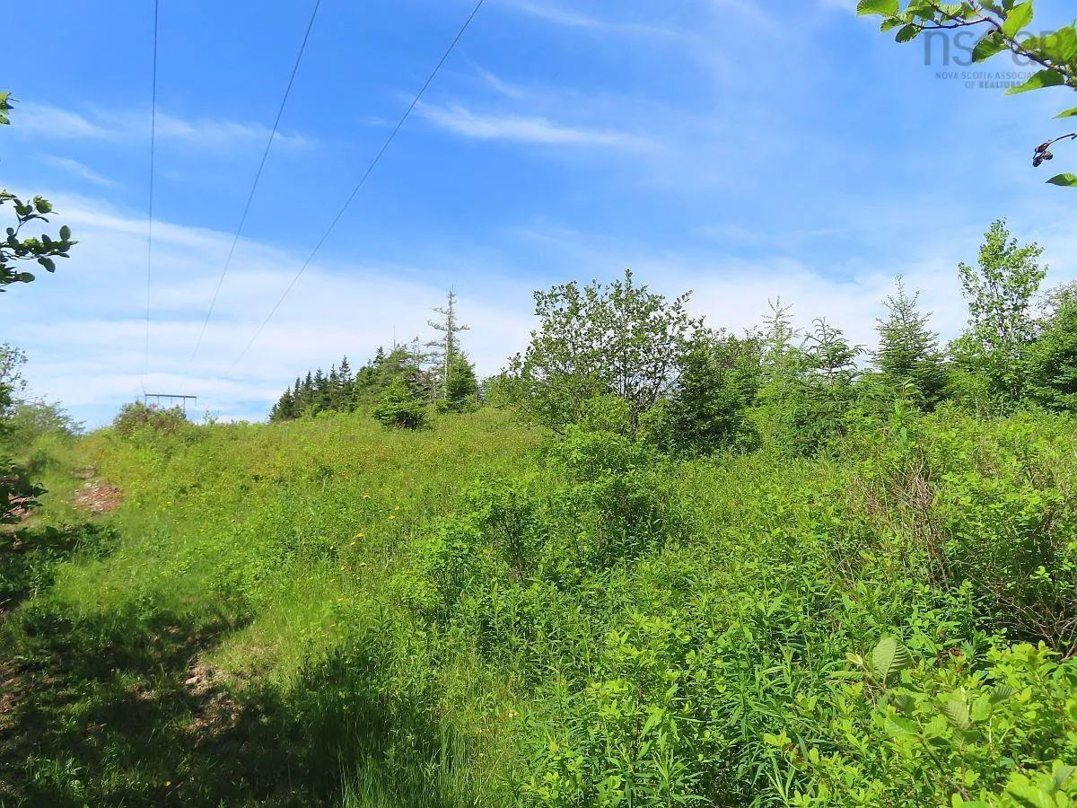 Lot 2 Old Trunk 4 Highway, Soldiers Cove Ns B0e 3b0, ,Land,For Sale,Old Trunk 4,202415357