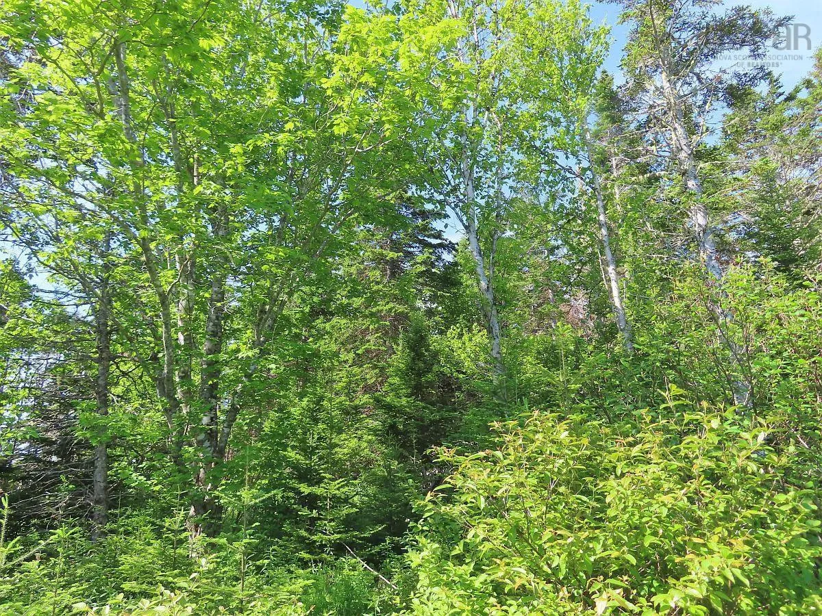Lot 2 Old Trunk 4 Highway, Soldiers Cove Ns B0e 3b0, ,Land,For Sale,Old Trunk 4,202415357