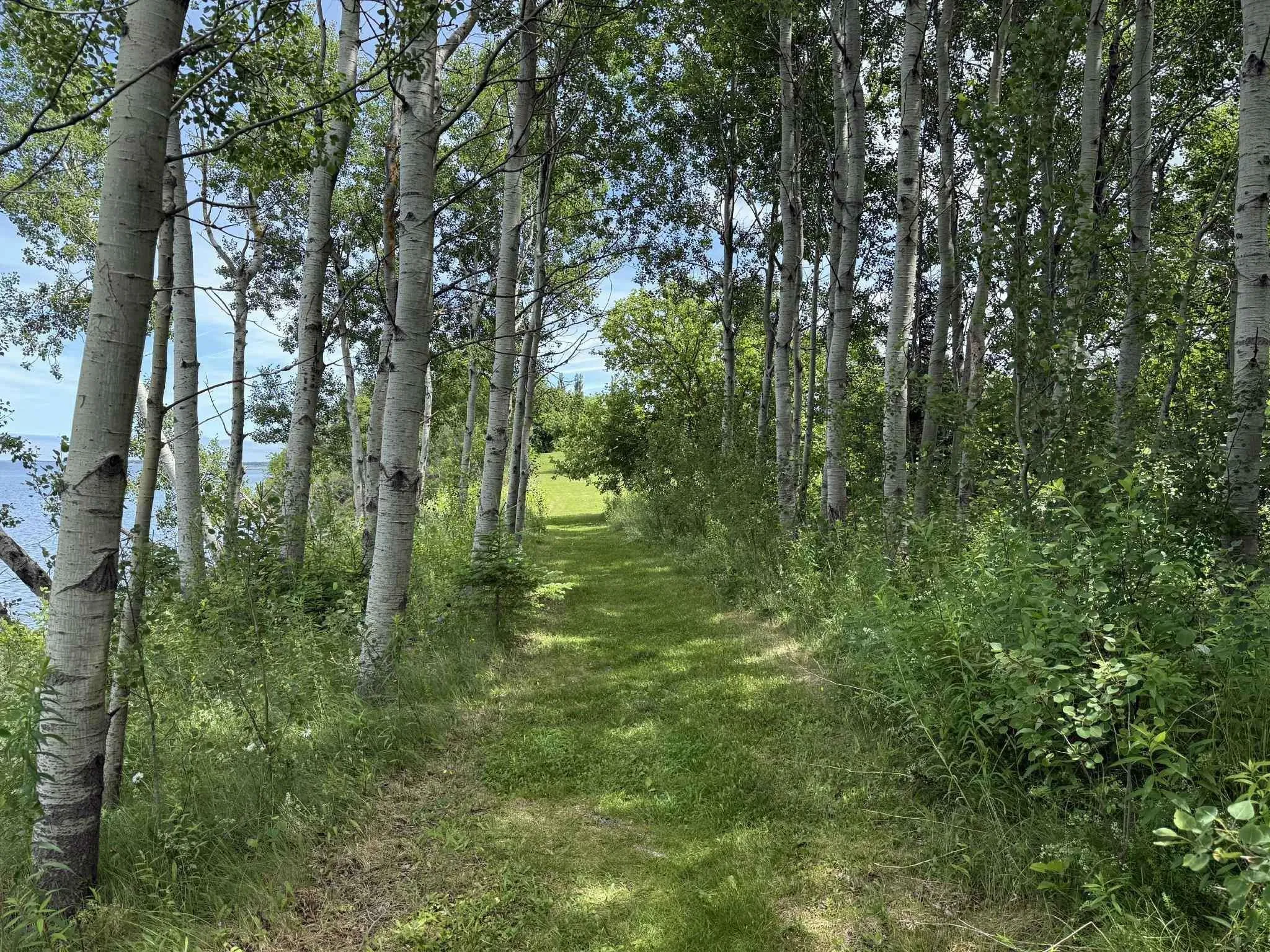6 Highway Lot 29, Bayhead, NS B0K 1V0, ,Land,For Sale,6,202516036