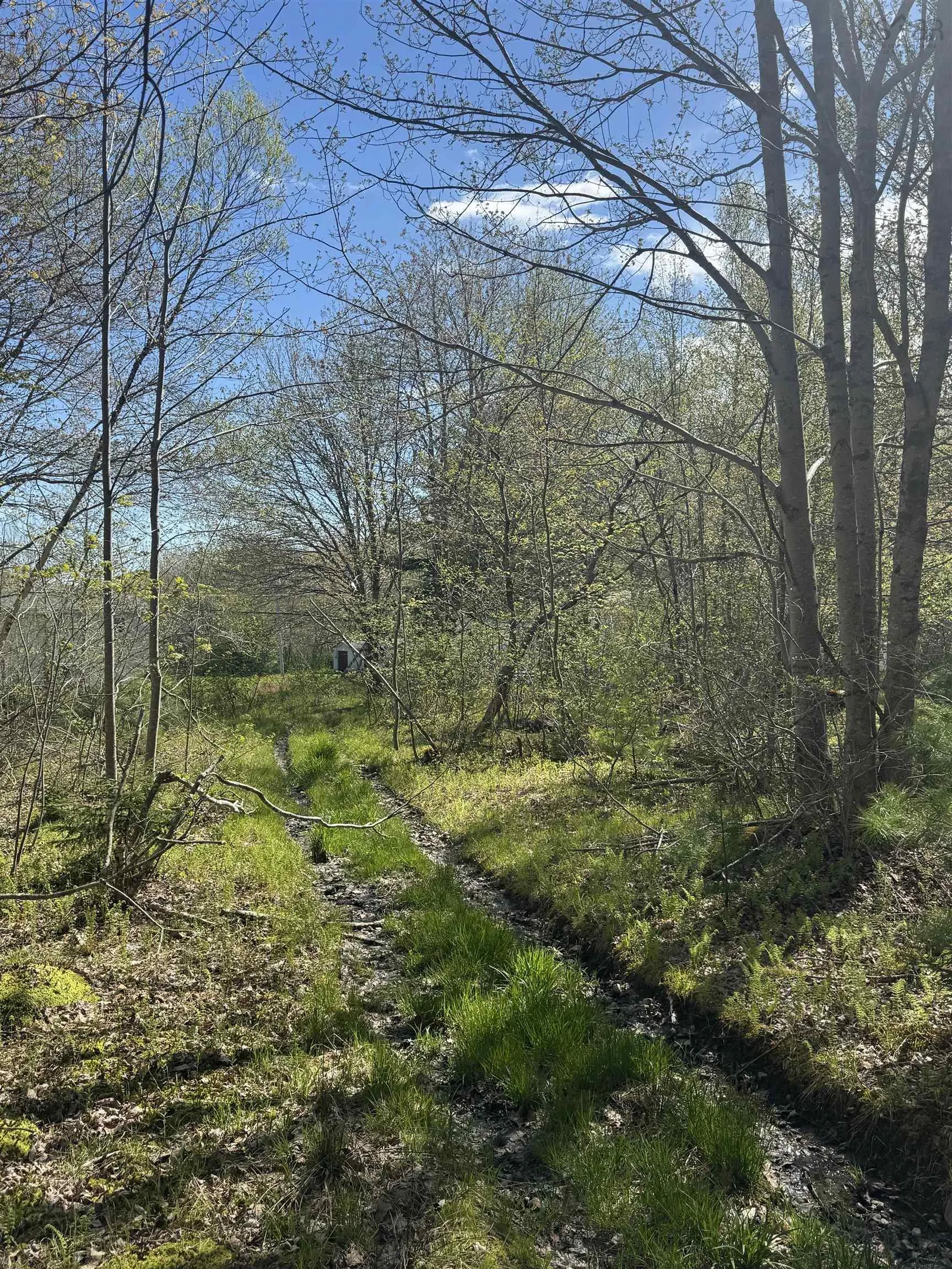 Pid#70083050 James Street, Brooklyn Ns B0j 1h0, ,Land,For Sale,(Pid 70083050) James,202509019