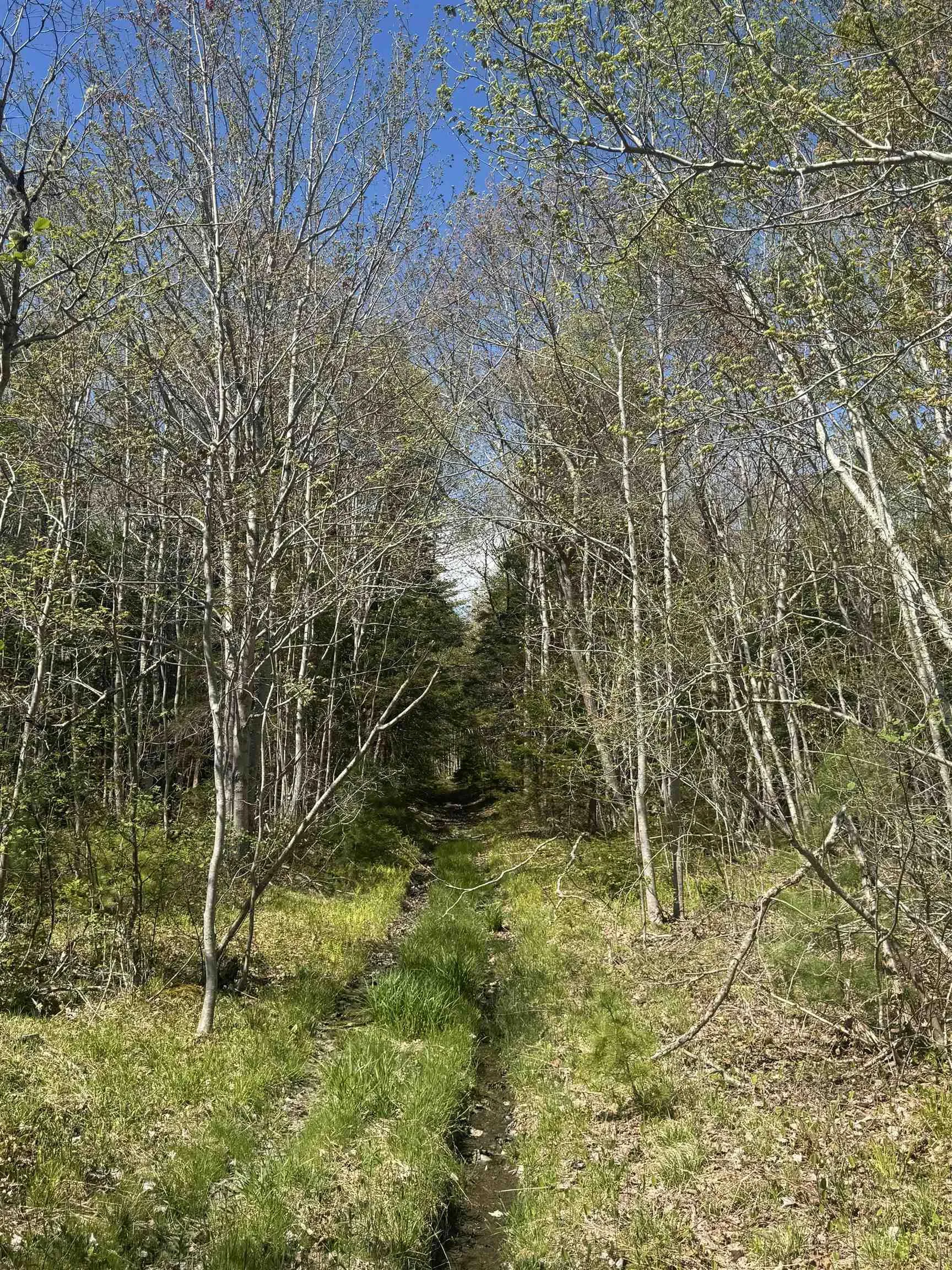 Pid#70083050 James Street, Brooklyn Ns B0j 1h0, ,Land,For Sale,(Pid 70083050) James,202509019