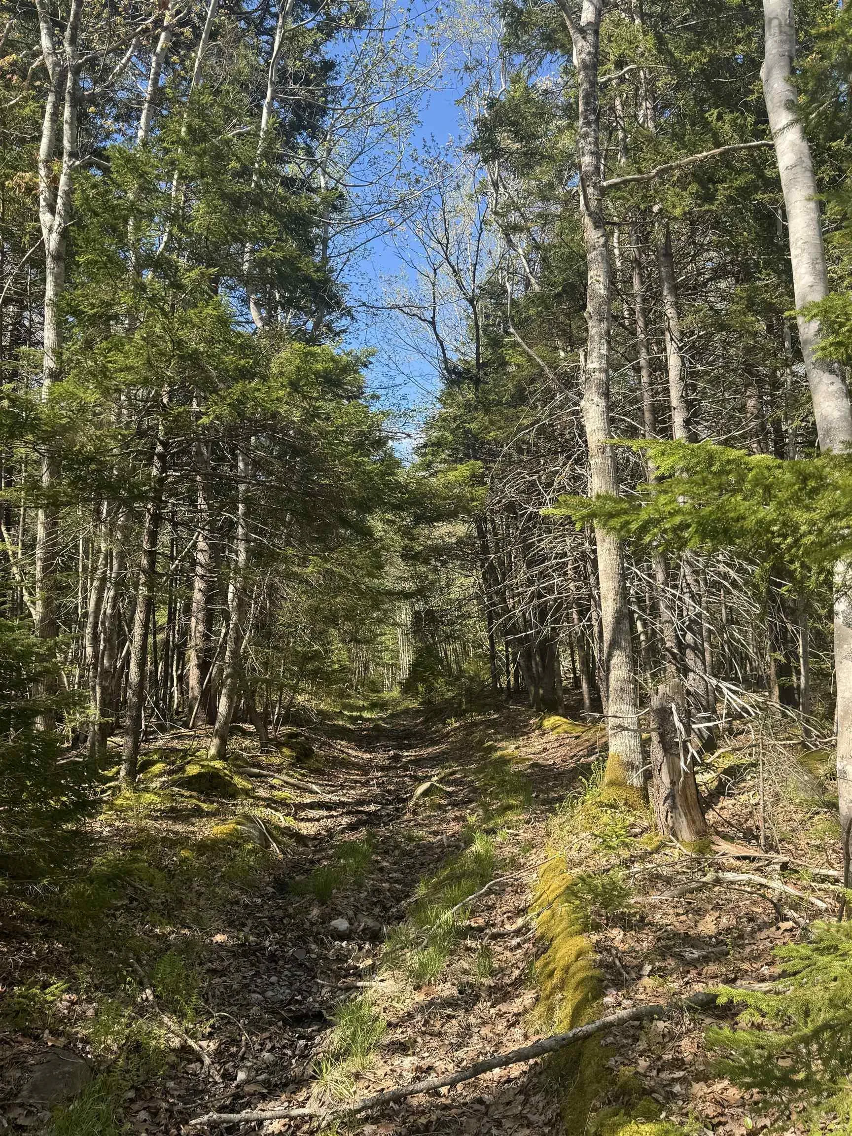 Pid#70083050 James Street, Brooklyn Ns B0j 1h0, ,Land,For Sale,(Pid 70083050) James,202509019