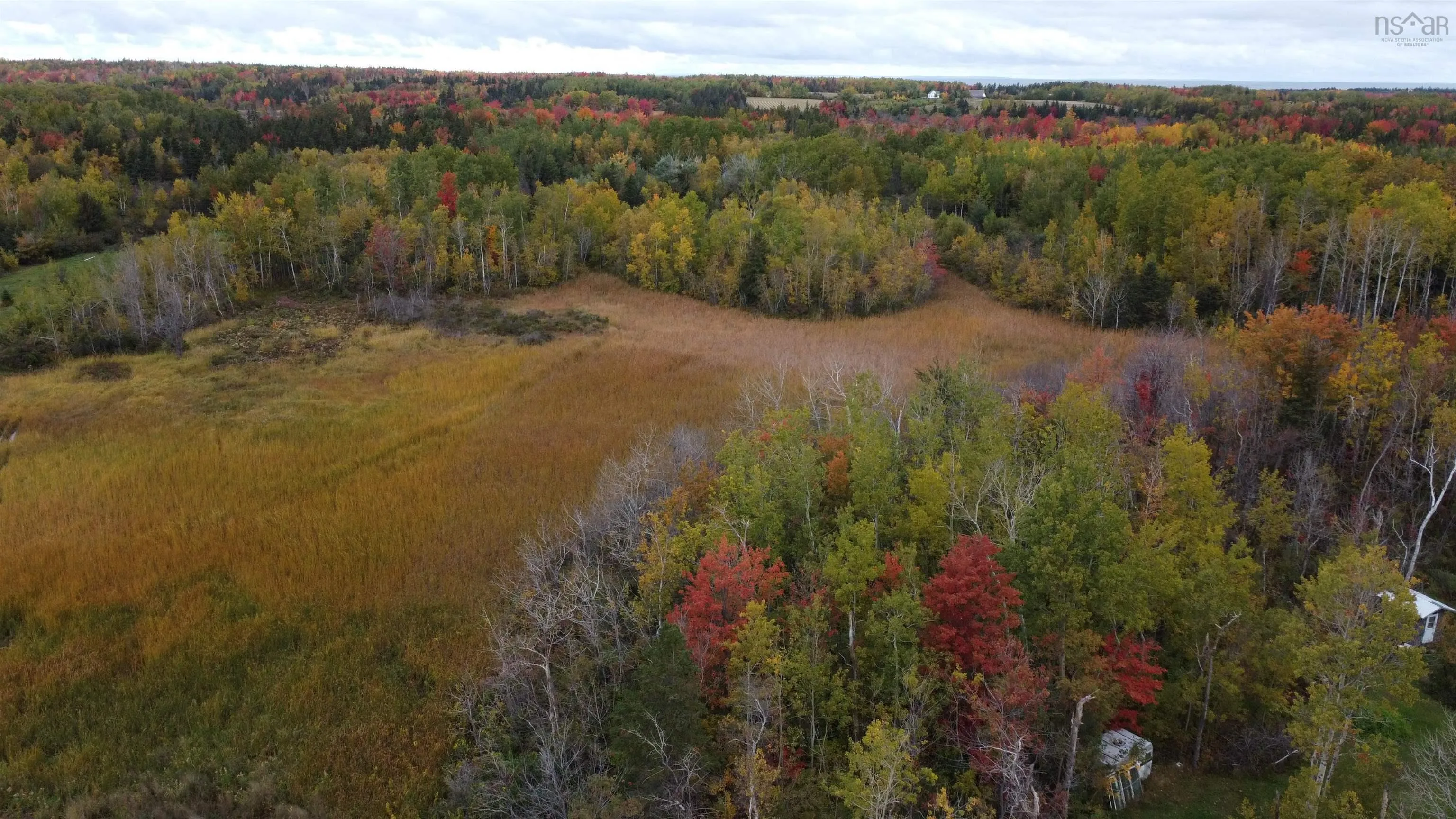 Malagash South Shore Road Lot 2, Malagash Ns B0k 1e0, ,Land,For Sale,Malagash South Shore,202502831
