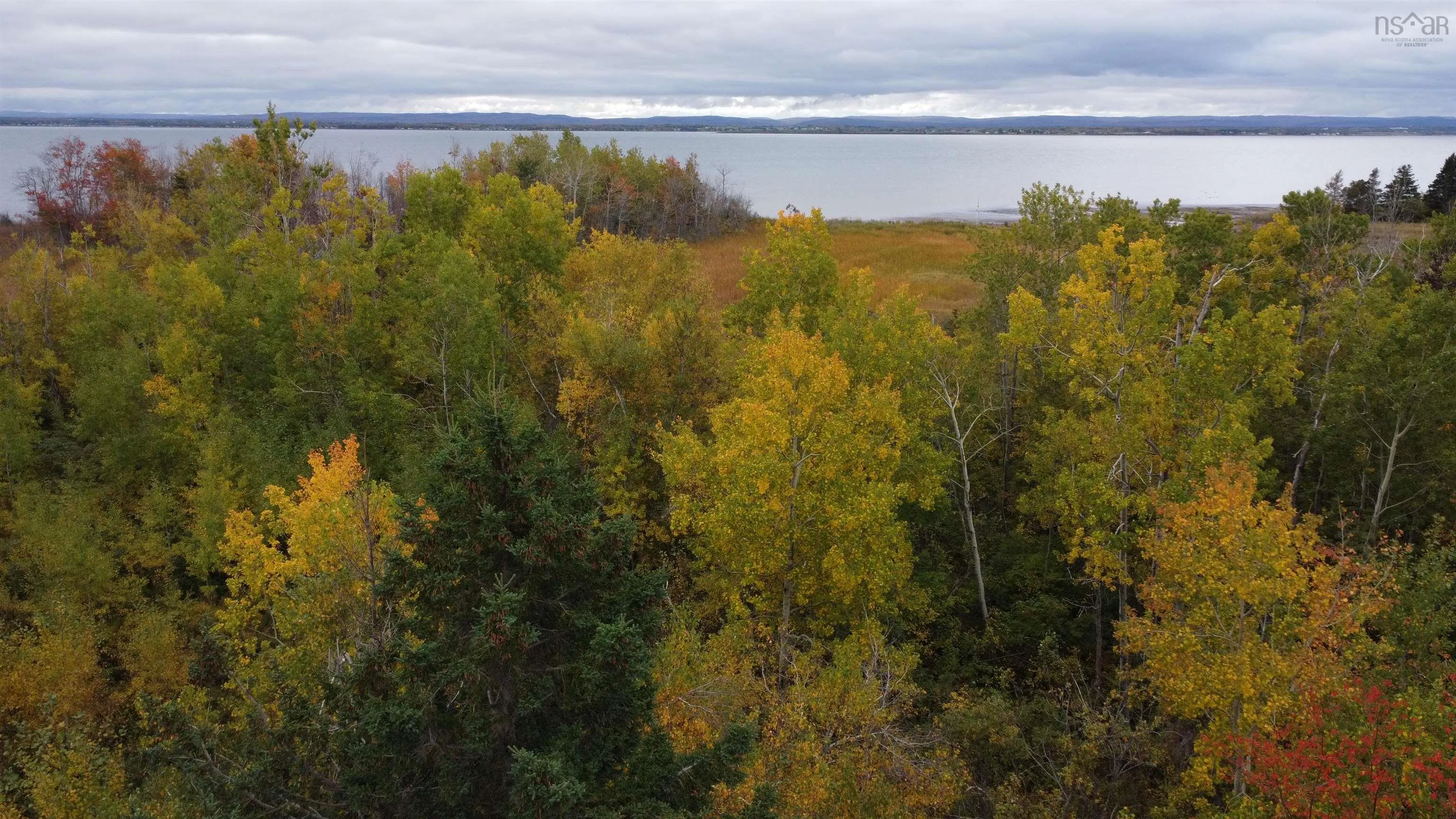 Malagash South Shore Road Lot 2, Malagash Ns B0k 1e0, ,Land,For Sale,Malagash South Shore,202502831