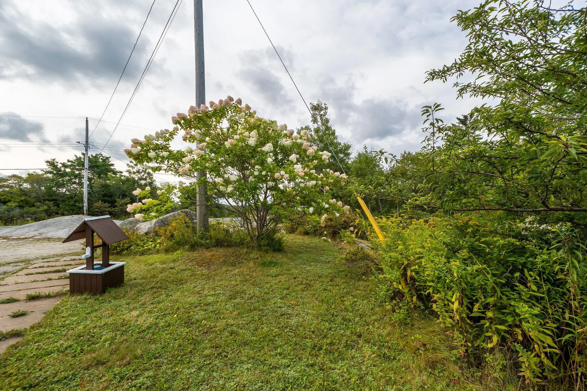 35 Kelly Drive, Williamswood, NS B3V 1E8, 3 Bedrooms Bedrooms, ,2 BathroomsBathrooms,Residential,For Sale,Kelly,202523072