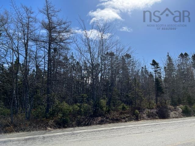 Highway 206, Martinique NS B0E 1K0, ,Land,For Sale,Highway 206,202300828
