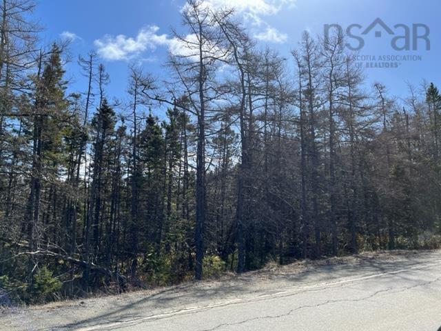 Highway 206, Martinique NS B0E 1K0, ,Land,For Sale,Highway 206,202300828