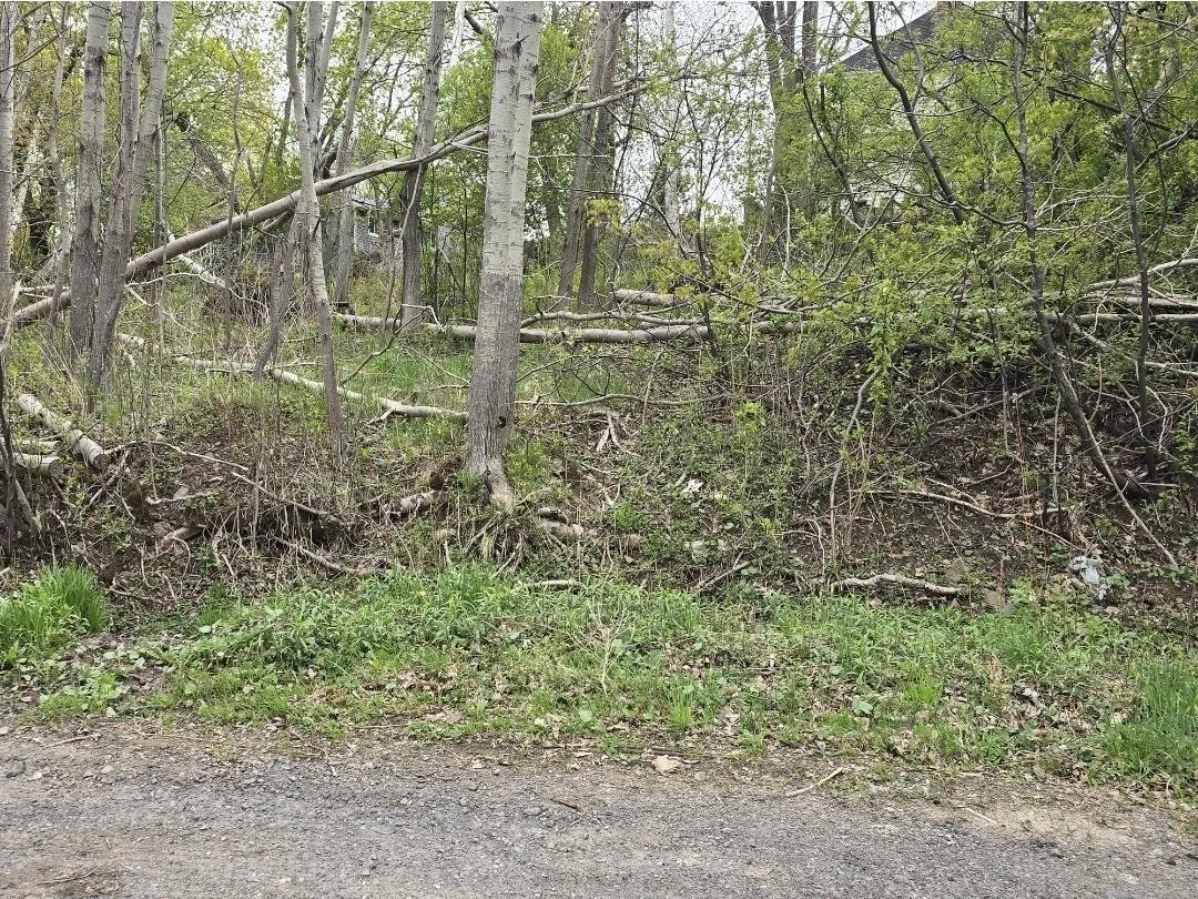 Brook Street Lot 2, Trenton, NS B0K 1X0, ,Land,For Sale,Brook Street,202512980