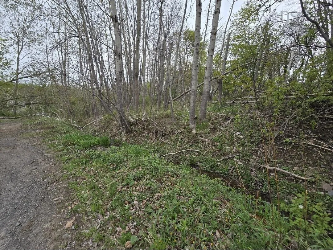 Brook Street Lot 2, Trenton, NS B0K 1X0, ,Land,For Sale,Brook Street,202512980