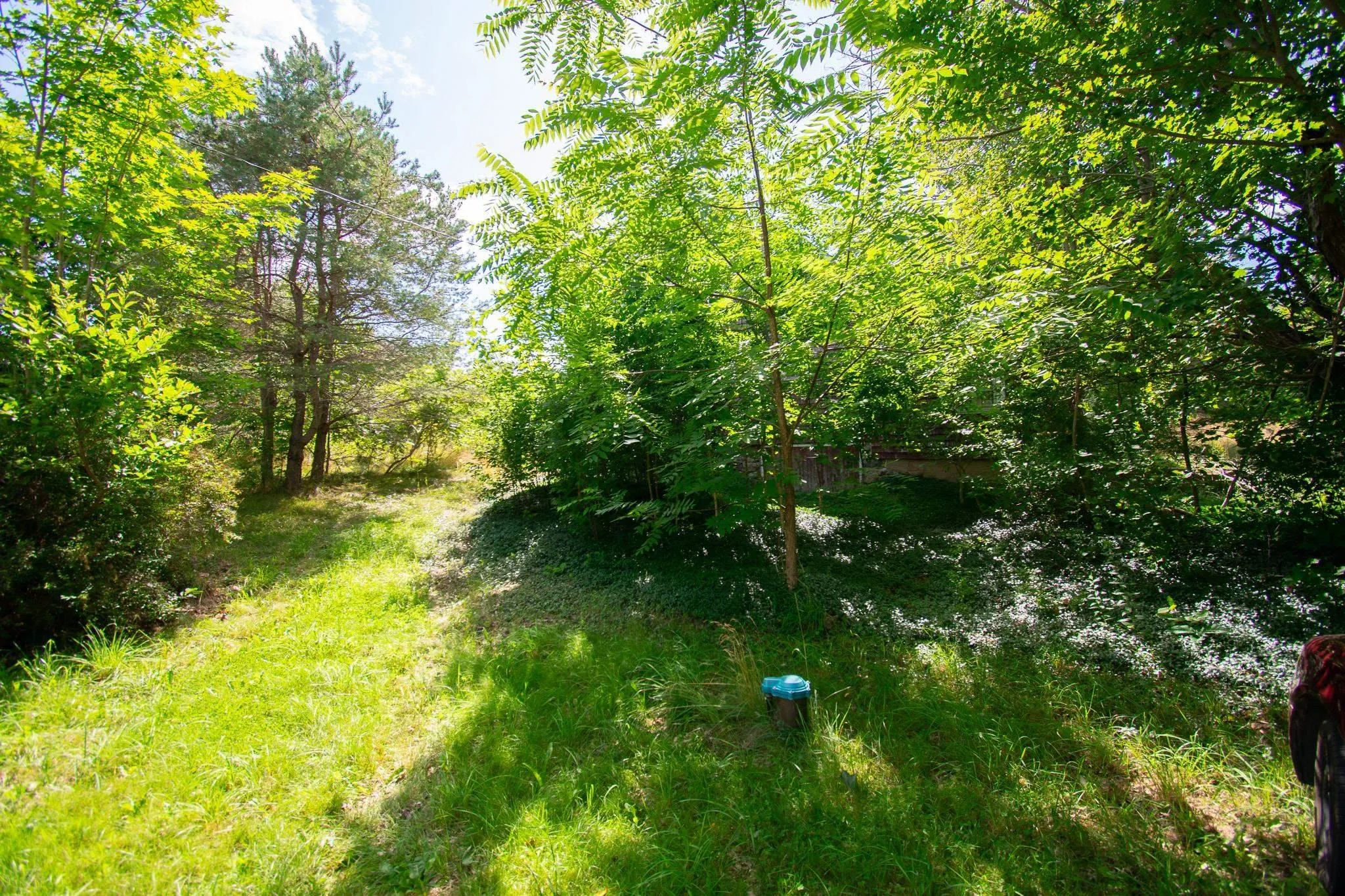 562 Messenger Road, Tremont, NS B0P 1R0, 2 Bedrooms Bedrooms, ,2 BathroomsBathrooms,Residential,For Sale,Messenger,202518692