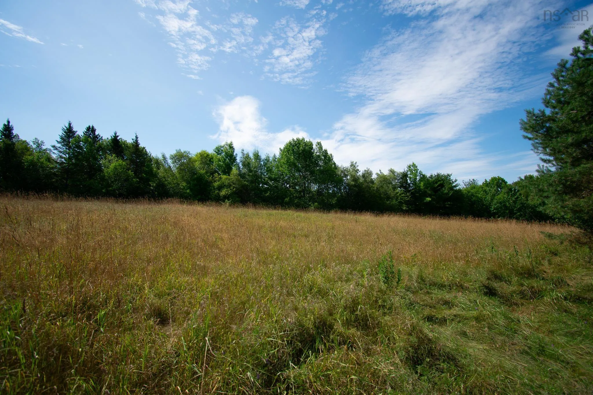 562 Messenger Road, Tremont, NS B0P 1R0, 2 Bedrooms Bedrooms, ,2 BathroomsBathrooms,Residential,For Sale,Messenger,202518692